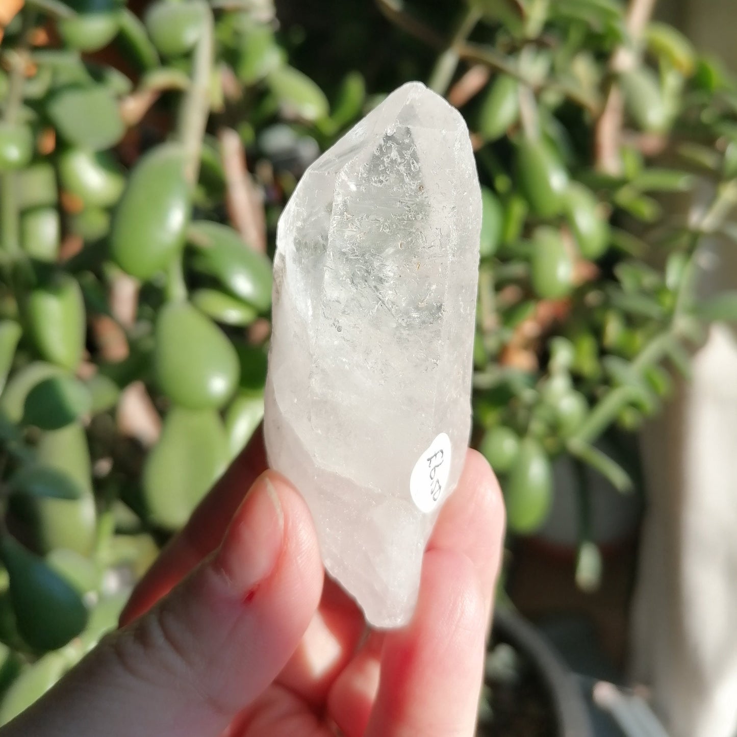 clear quartz point with natural inclusion and white frosting