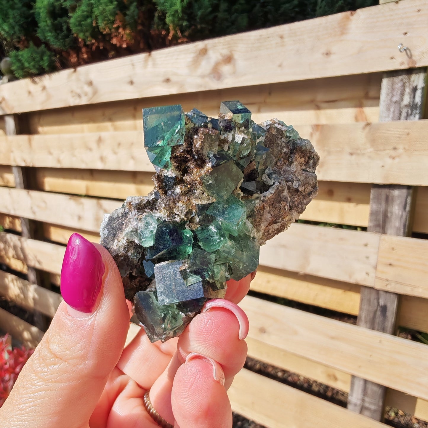 Green Glassy Cubed Fluorite Specimen
