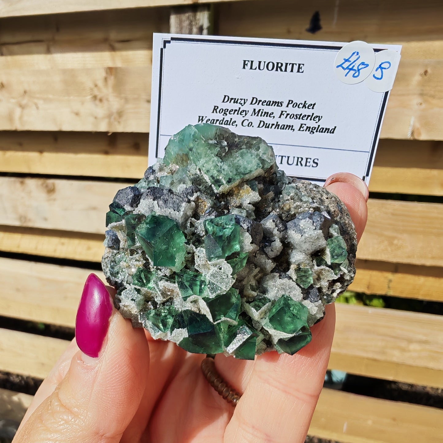 Green Druzy Dreams Fluorite with Quartz and Galena