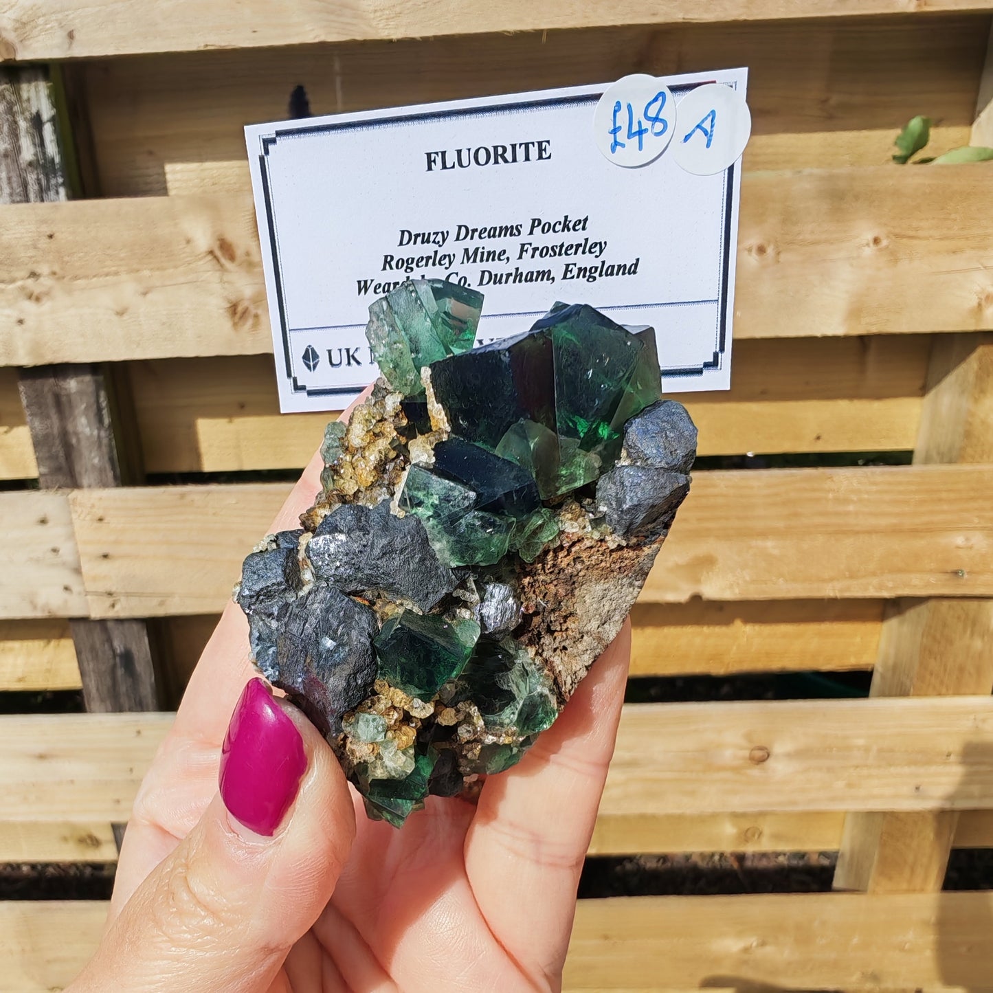 Glassy Green Cubed Fluorite Specimen from the Druzy Dreams Pocket UK