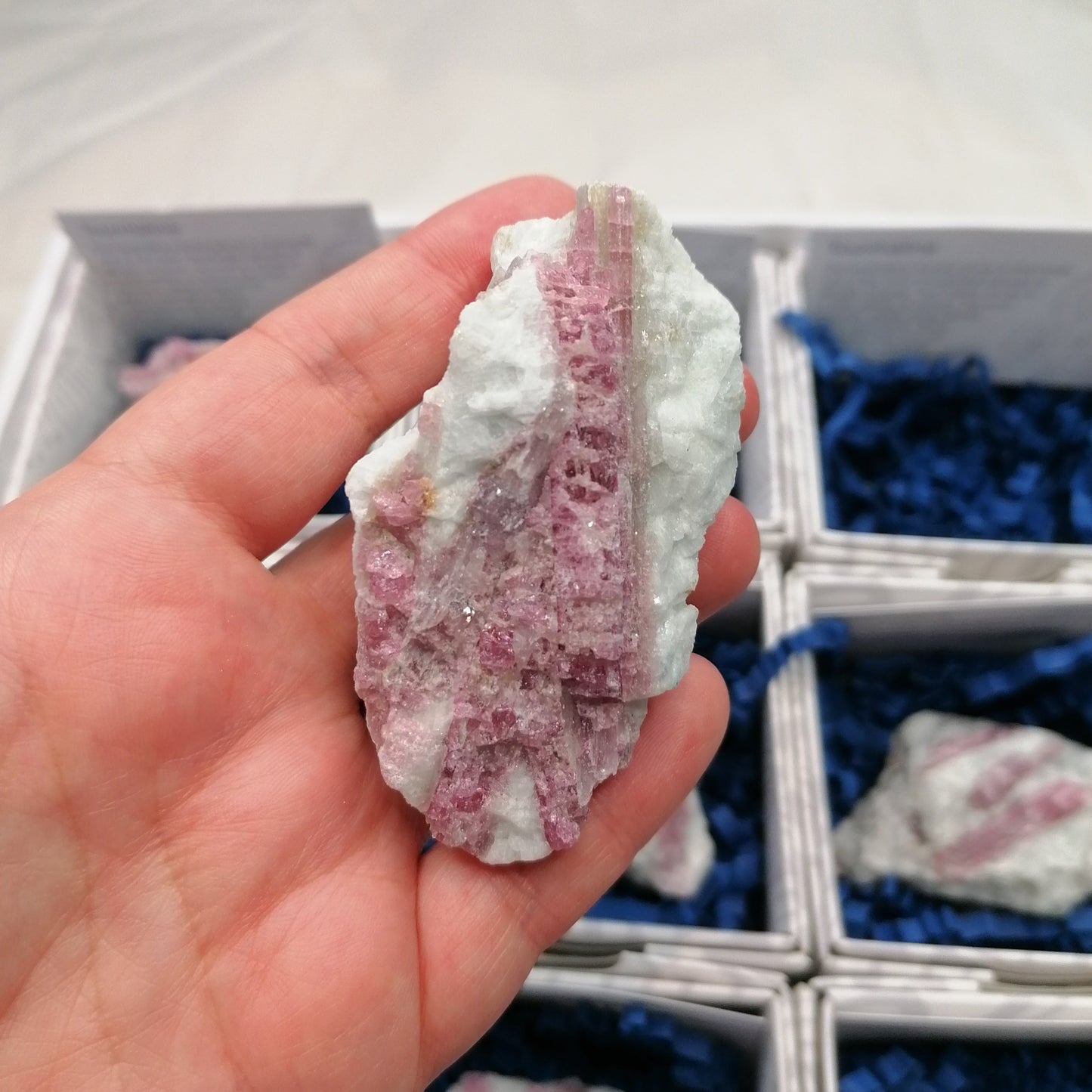 a piece of pink tourmaline set in white quartz