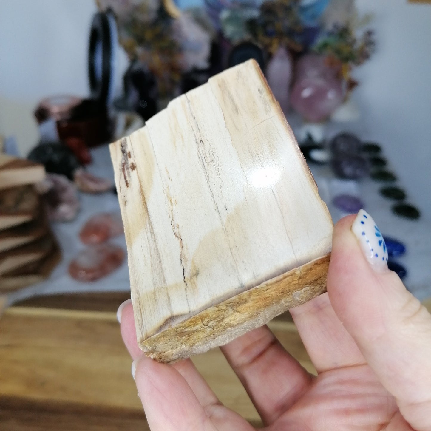 Petrified Wood Slab with cream ones