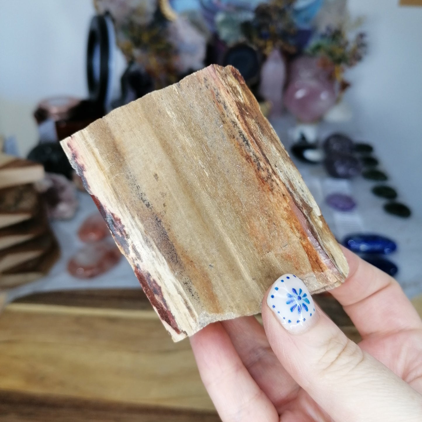 A thick slab of petrified wood with brown and cream tones