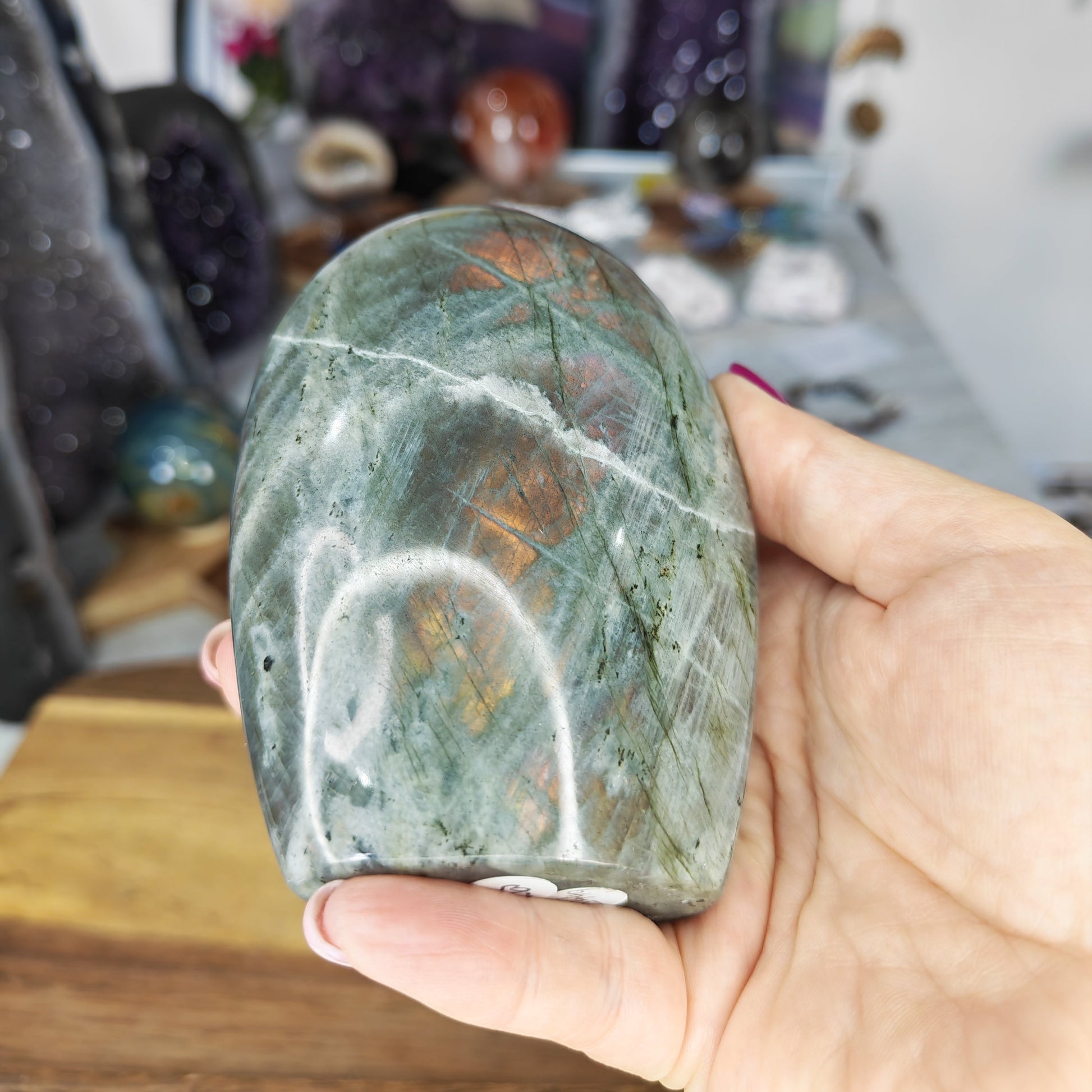 Pink and Orange Lab Freeform