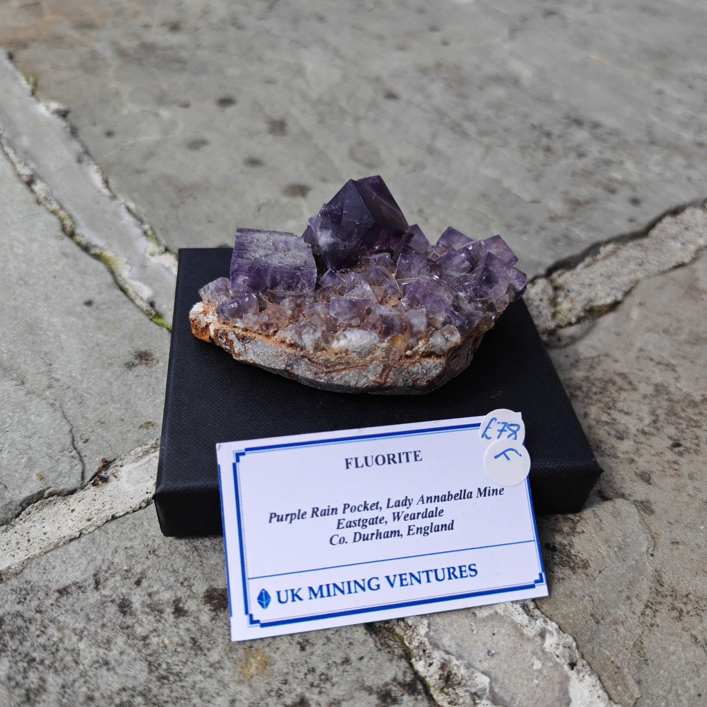 Purple Rain Pocket Fluorite with deep purple cubes in the daylight
