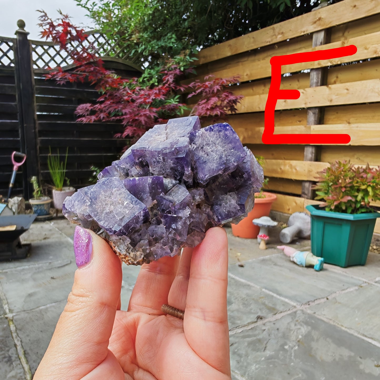 Purple Rain Pocket UK Fluorite with big purple cubes