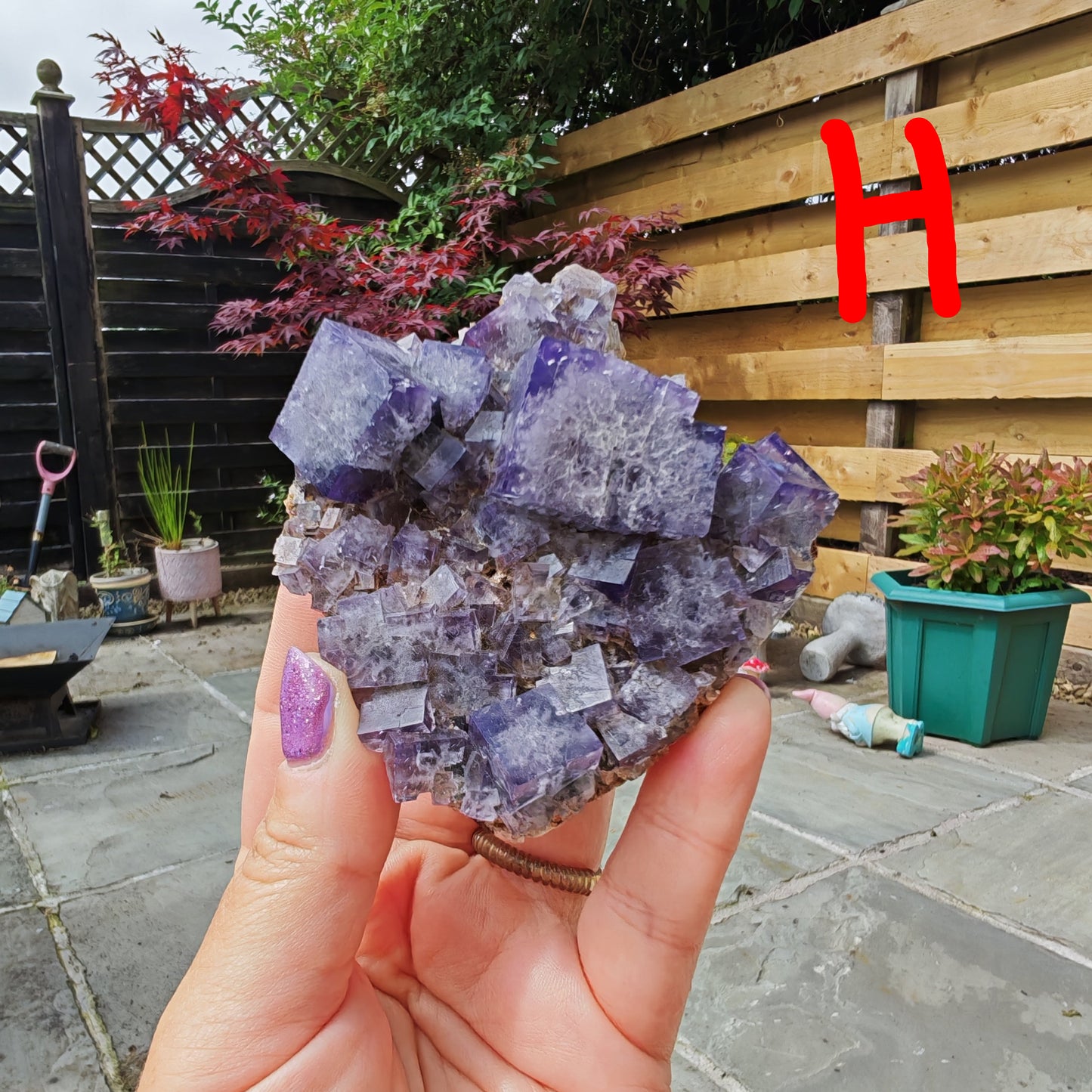 Purple Rain Pocket Fluorite specimen collector grade