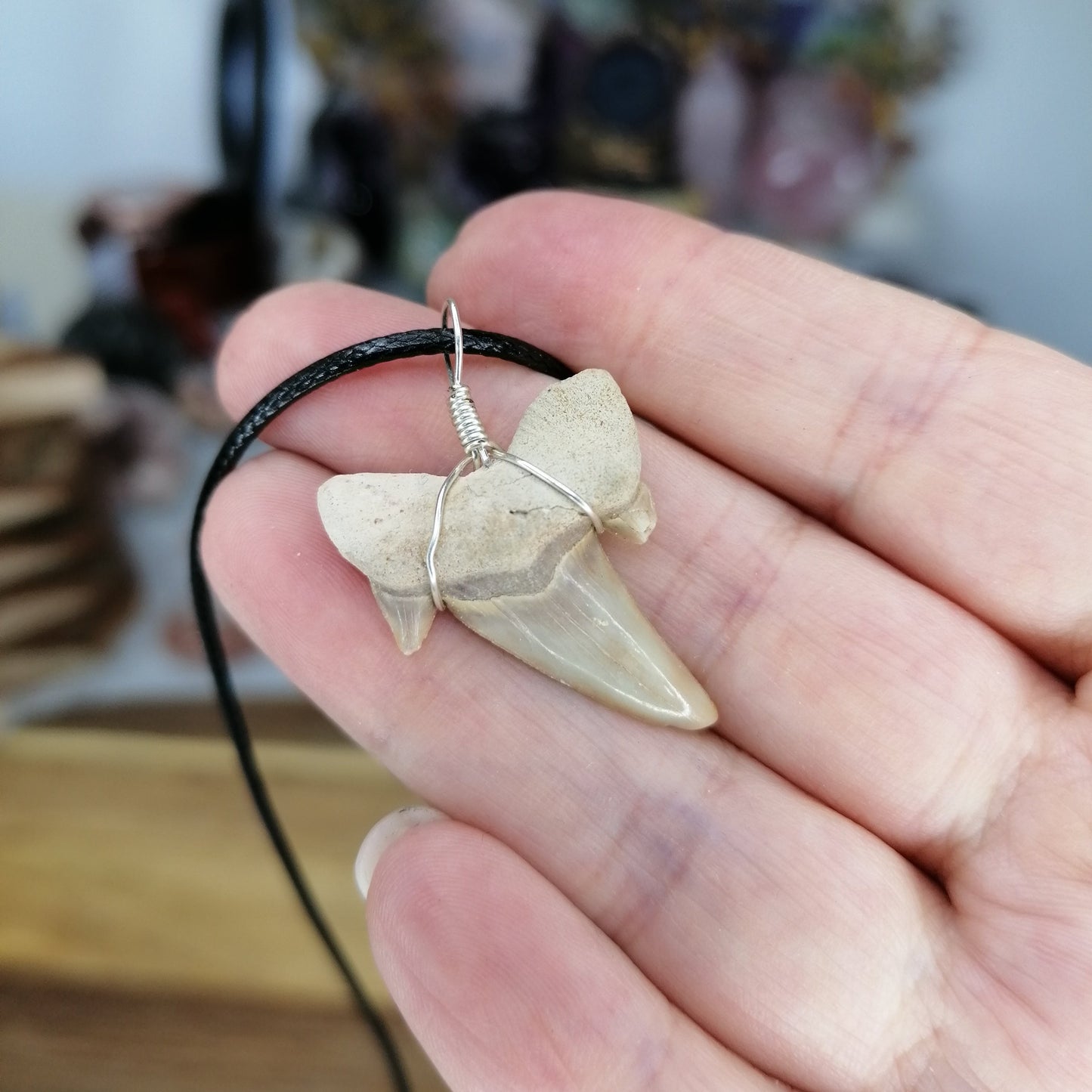 Shark Tooth Necklace on a black chord chain