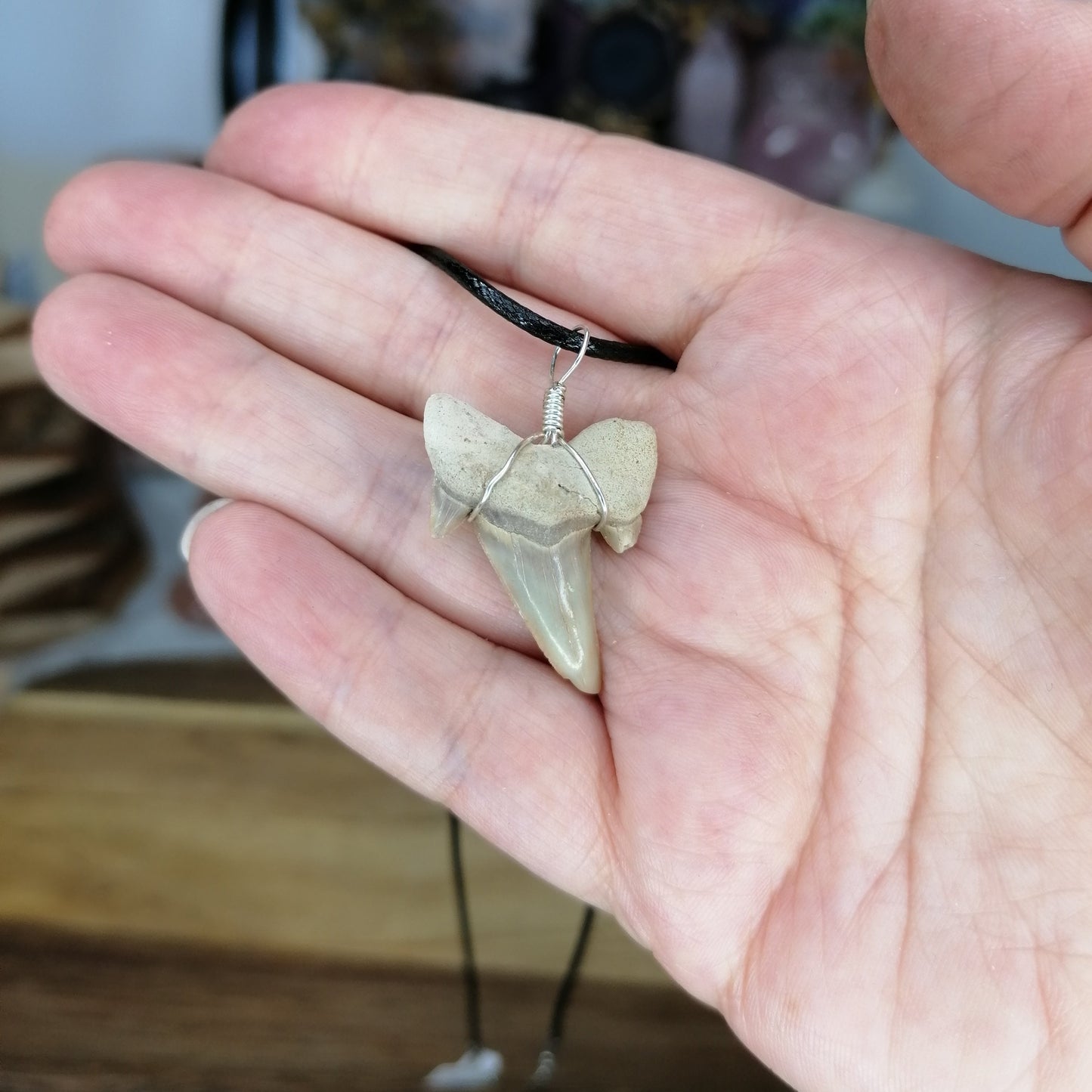 Shark Tooth Necklace on a black chord chain
