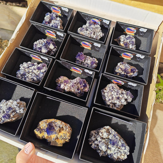 UK Fluorite Specimens Yum Yum Pocket
