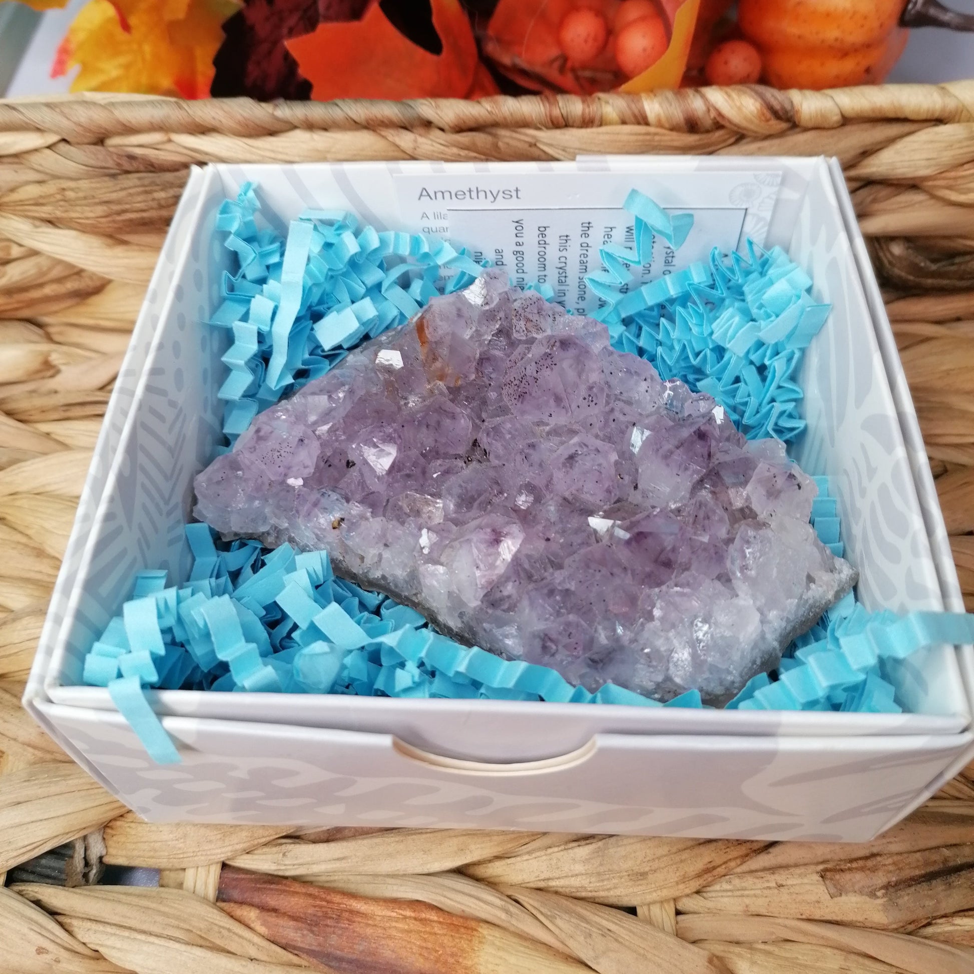 Large Purple Amethyst Cluster