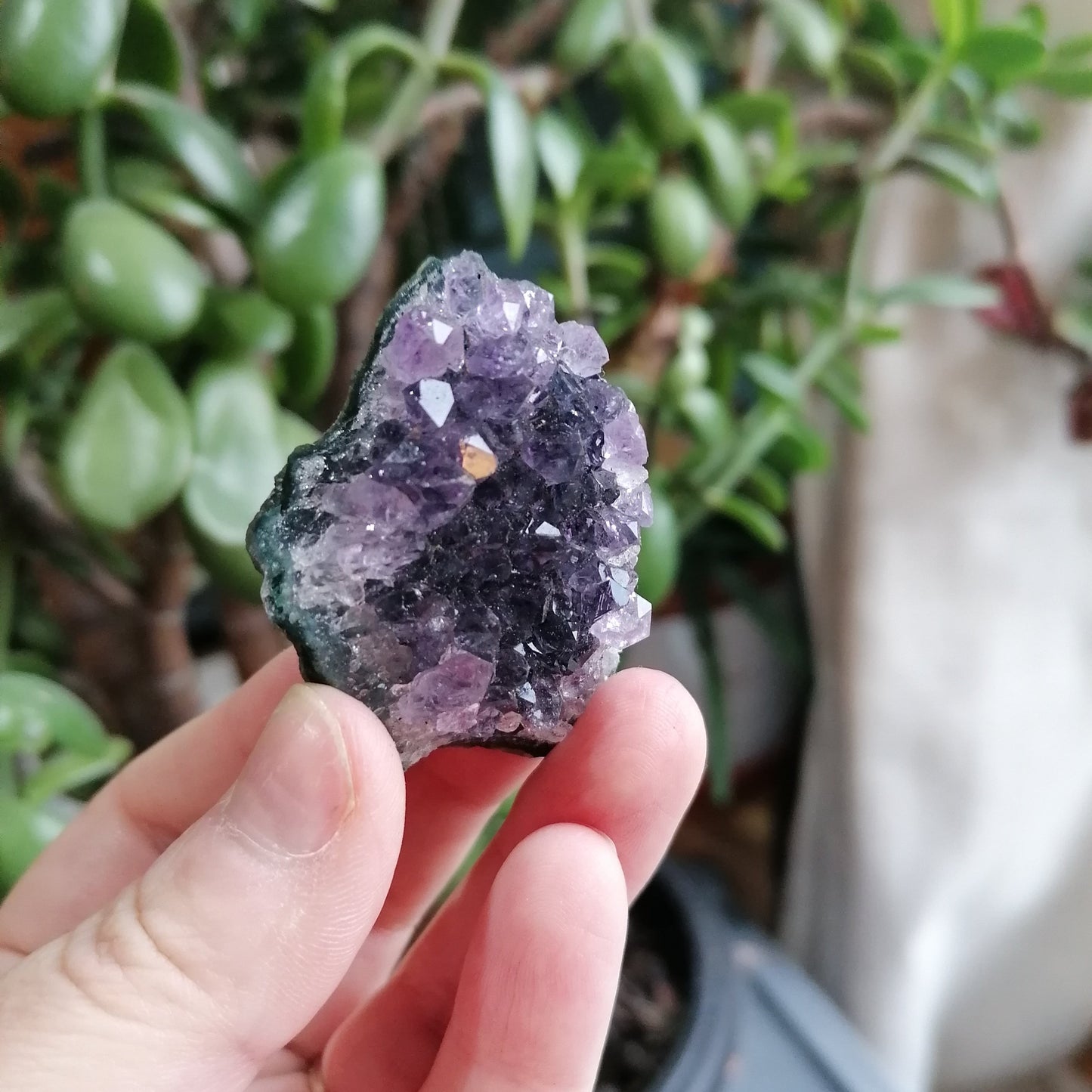 Purple Amethyst Cluster