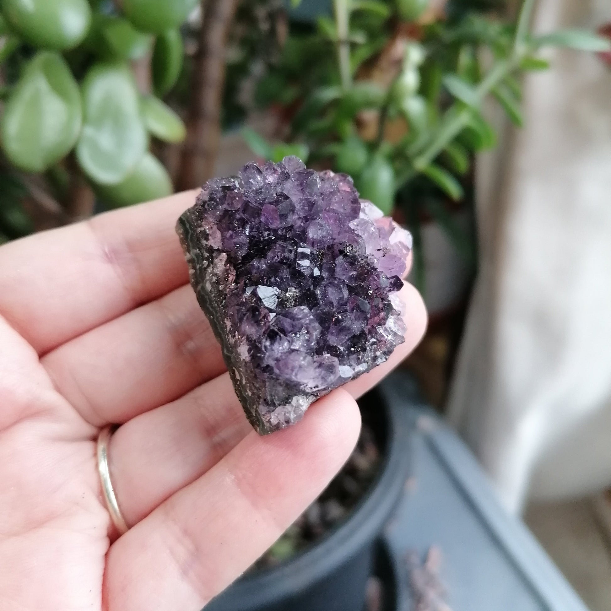 Deep Rich Purple Amethyst Cluster