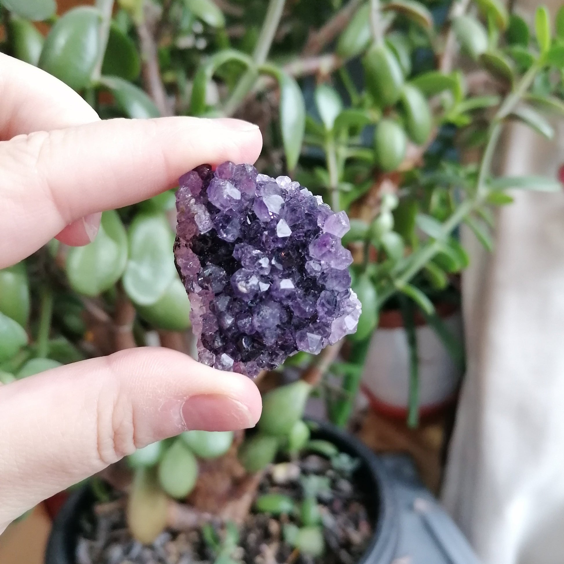 druzy purple amethyst cluster