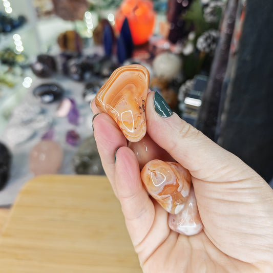 Apricot Agate Tumblestones
