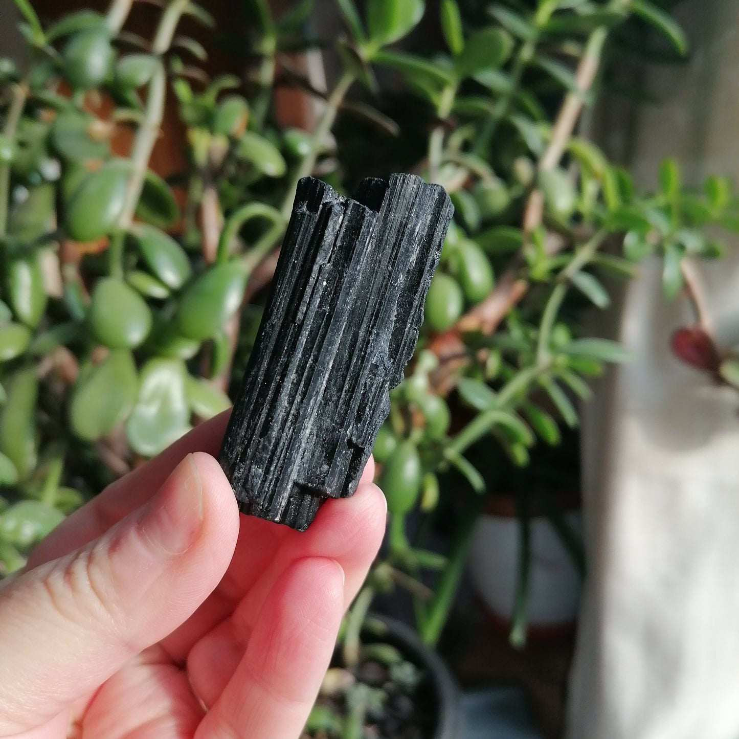 Black Tourmaline Raw 50-60mm