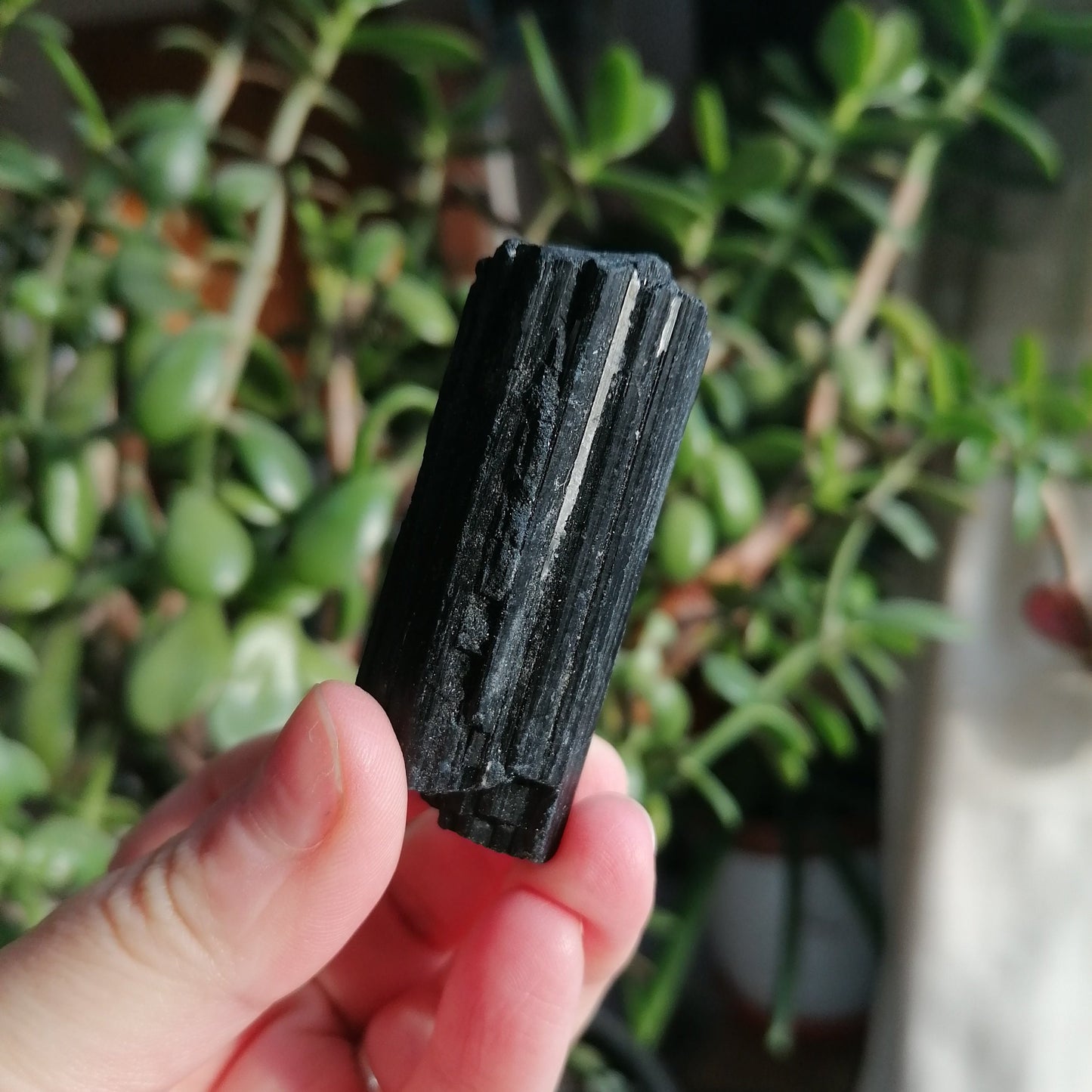 black tourmaline raw some with white quartz inclusions