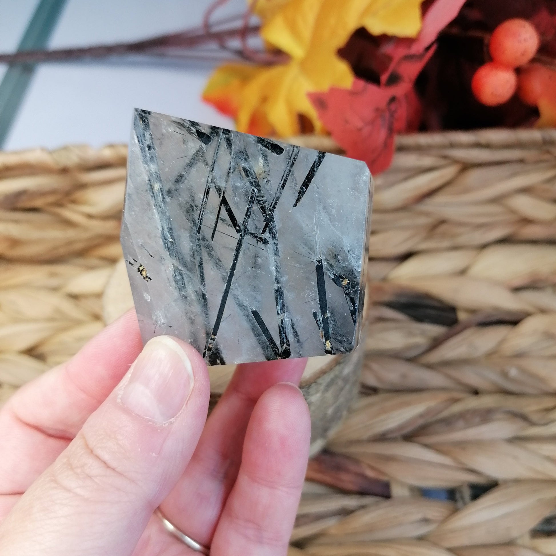 Black Tourmaline needles in quartz freeform