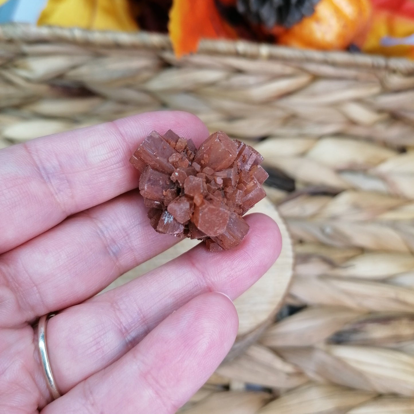 Brown Sputnik Aragonite