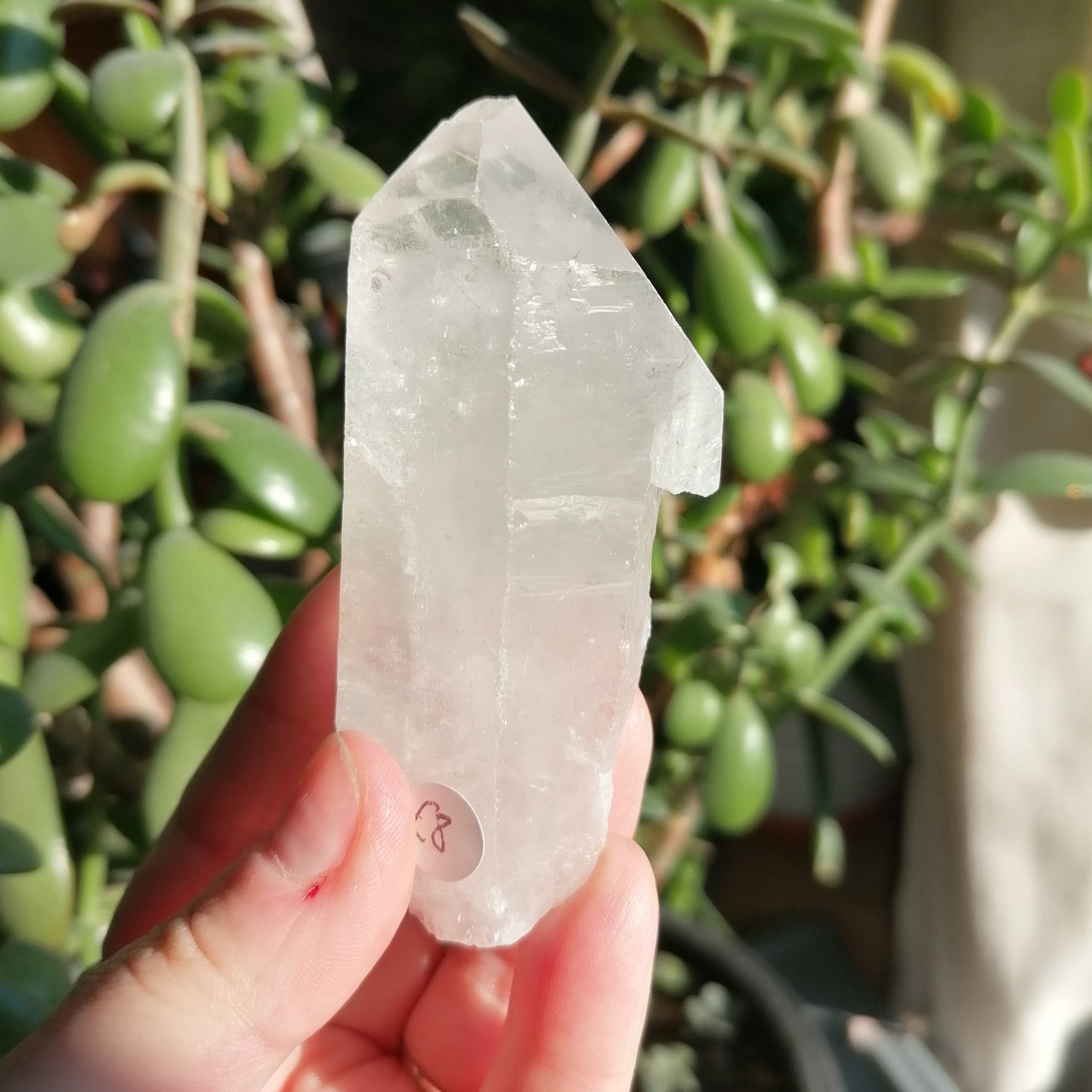 Clear Quartz point