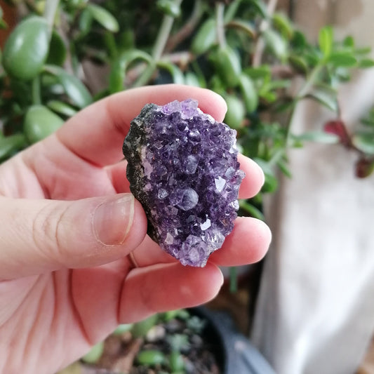 Dark Purple Amethyst Cluster