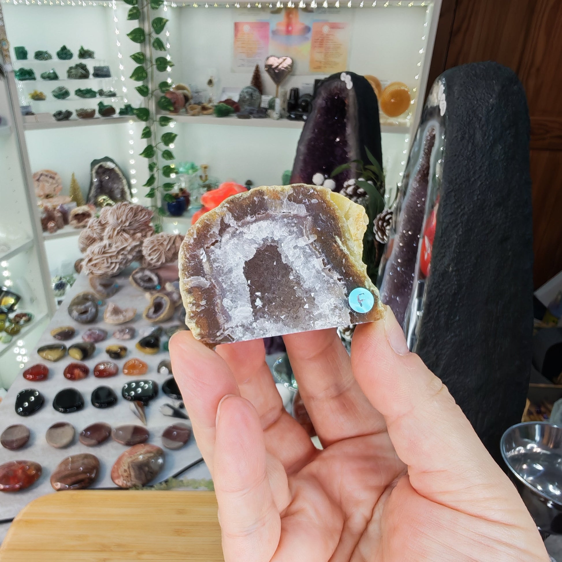 Druzy Agate Geode Option F