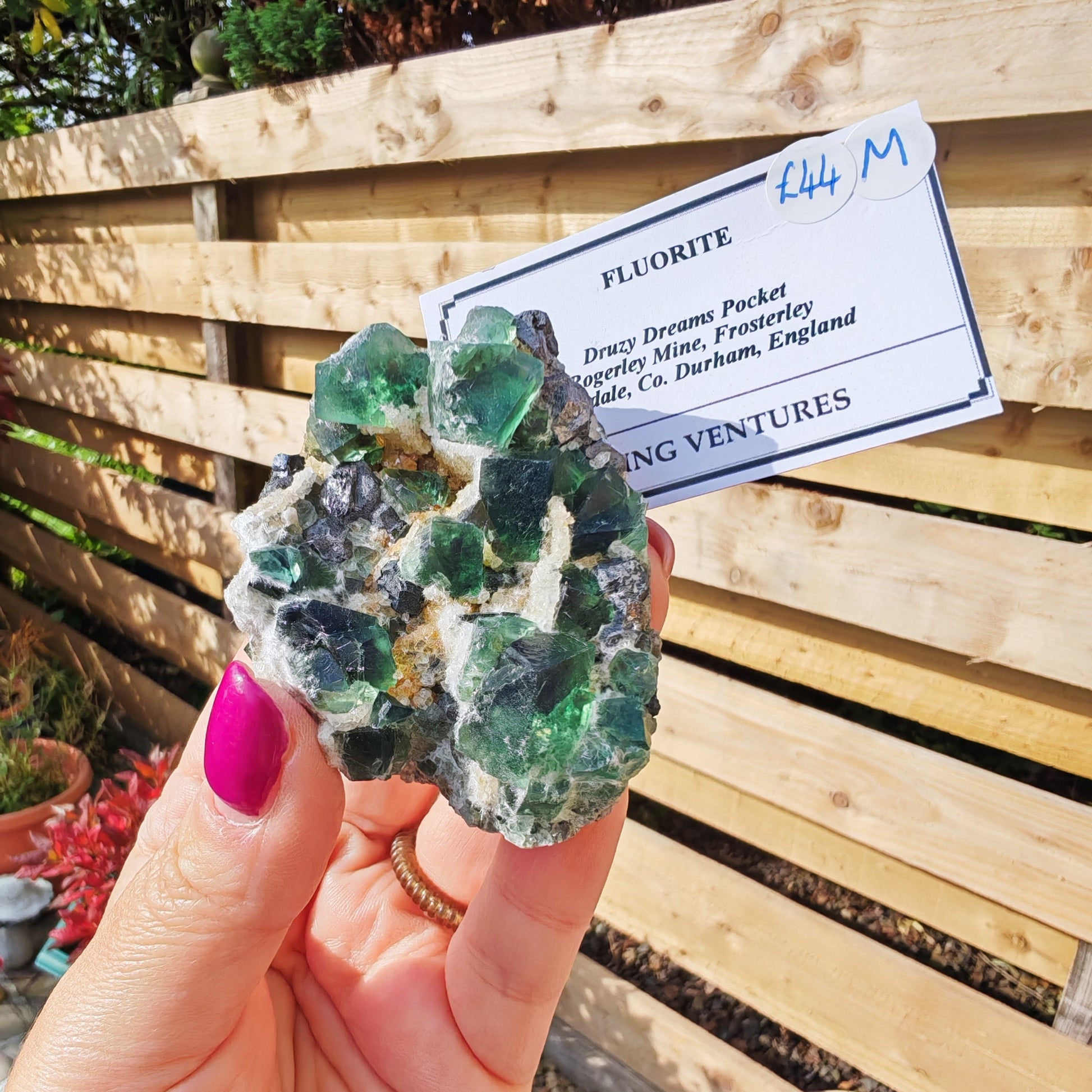Druzy Dreams Fluorite with green fluorite, sparkly quartz and galena