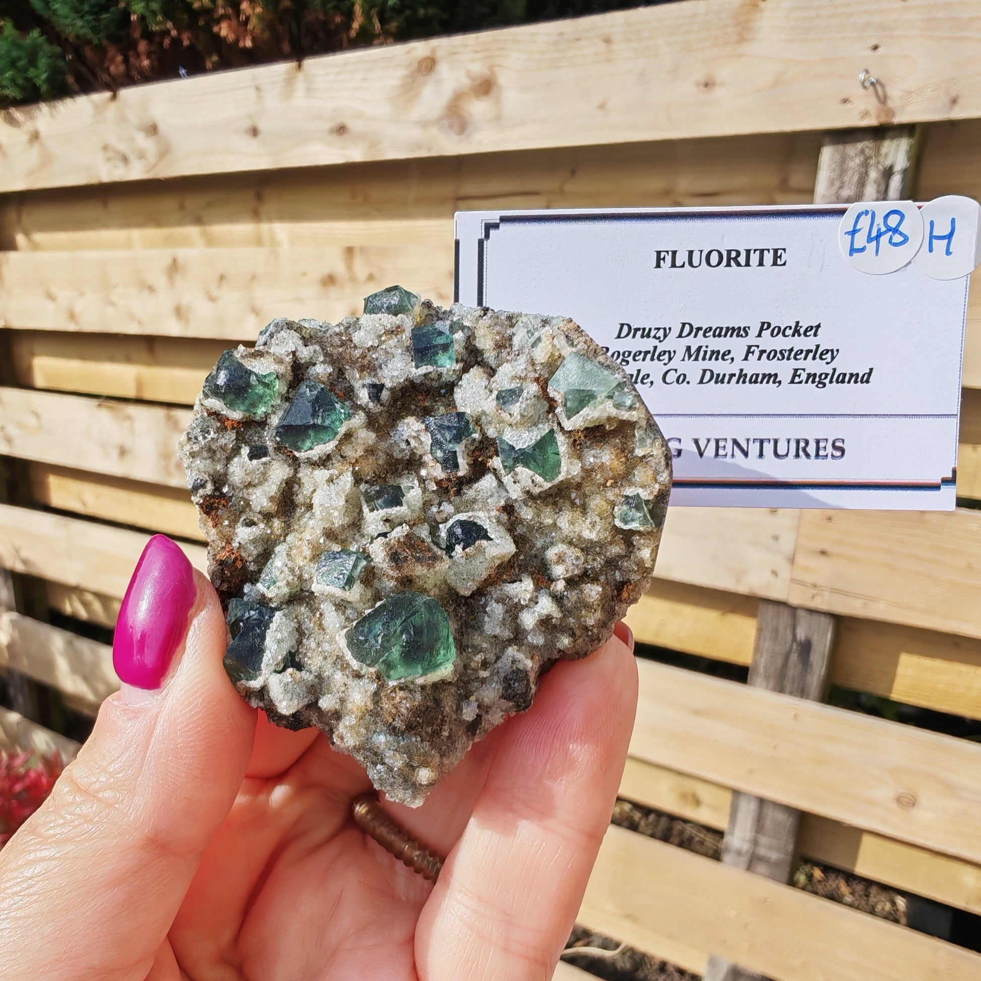 Grenn Druzy Dreams Fluorite with white and golden Quartz