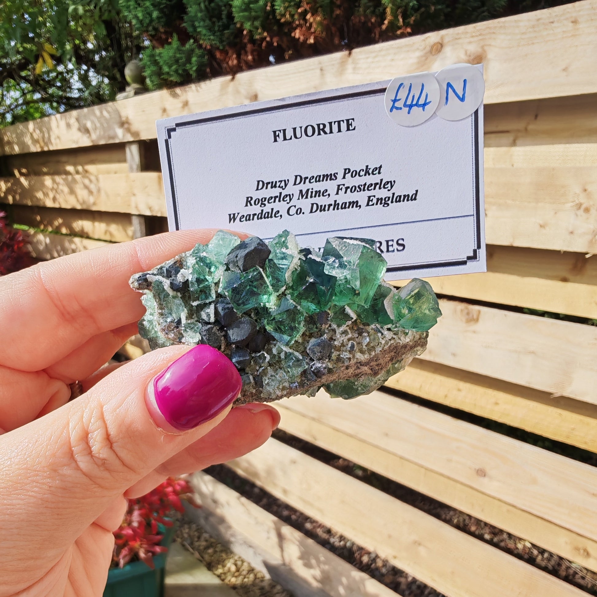 Druzy Dreams Fluorite with green fluorite, white quartz and silver galena