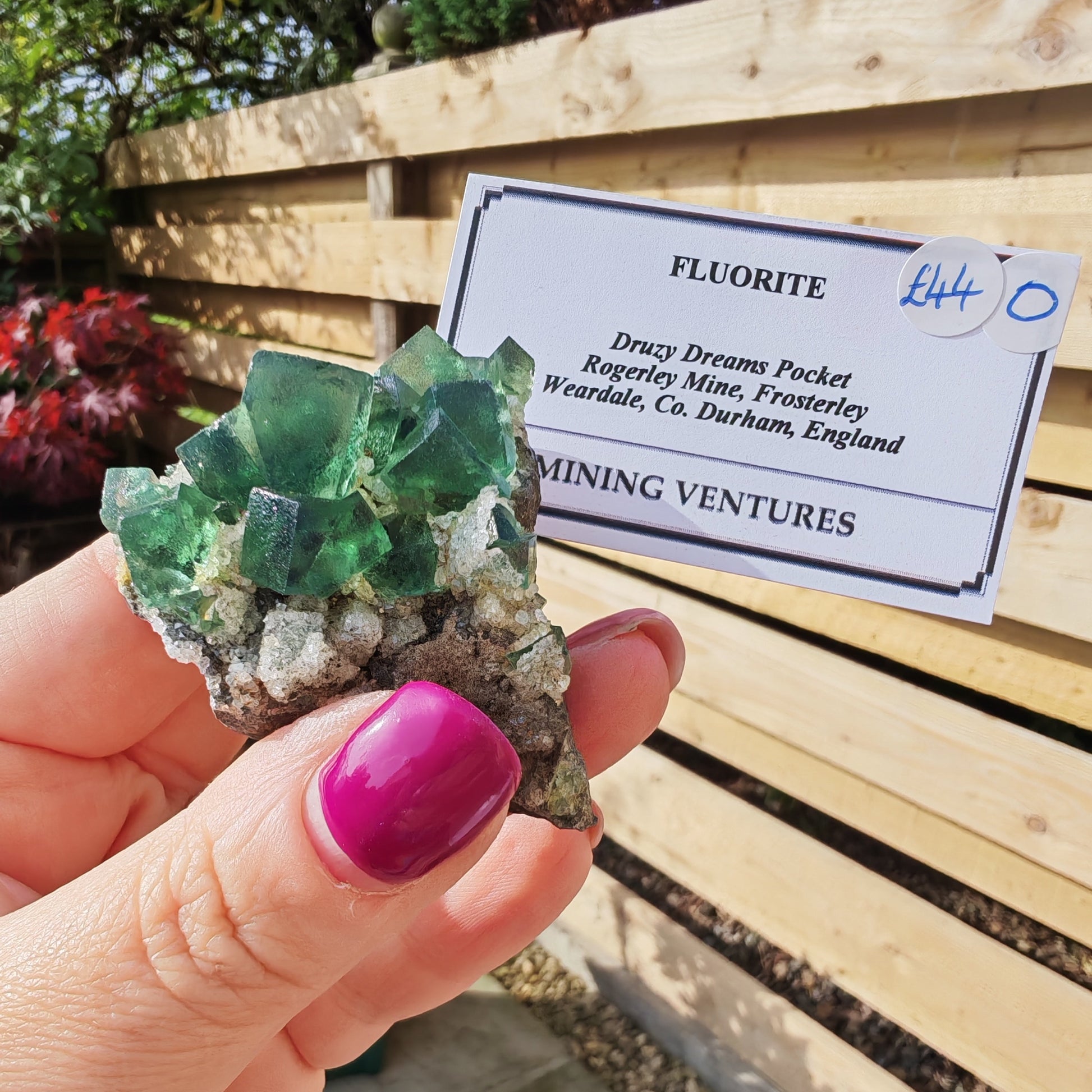Druzy Dreams Fluorite with green fluorite and quartz druzy