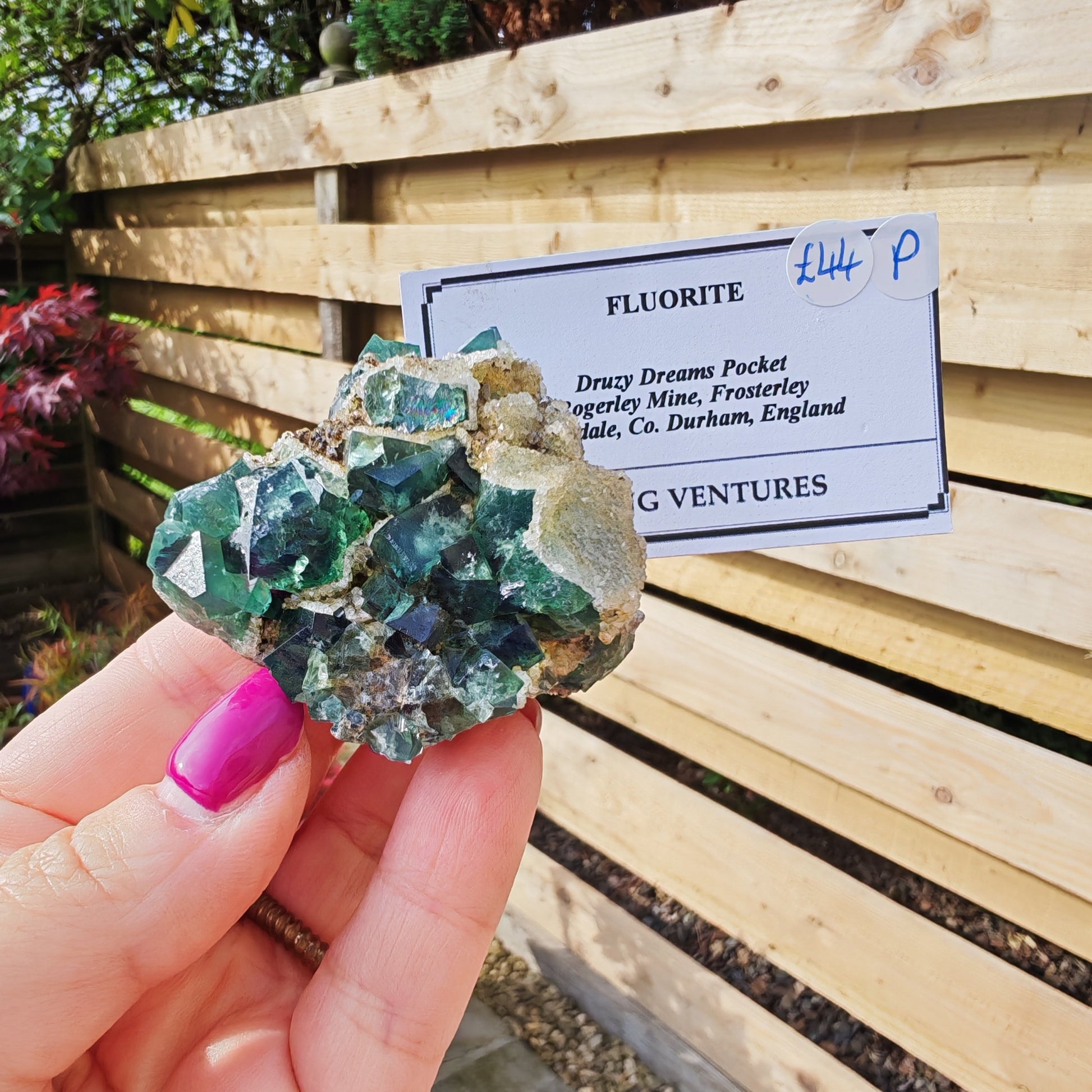 Druzy Dreams Fluorite with Green Fluorite and sparkly quartz druzy