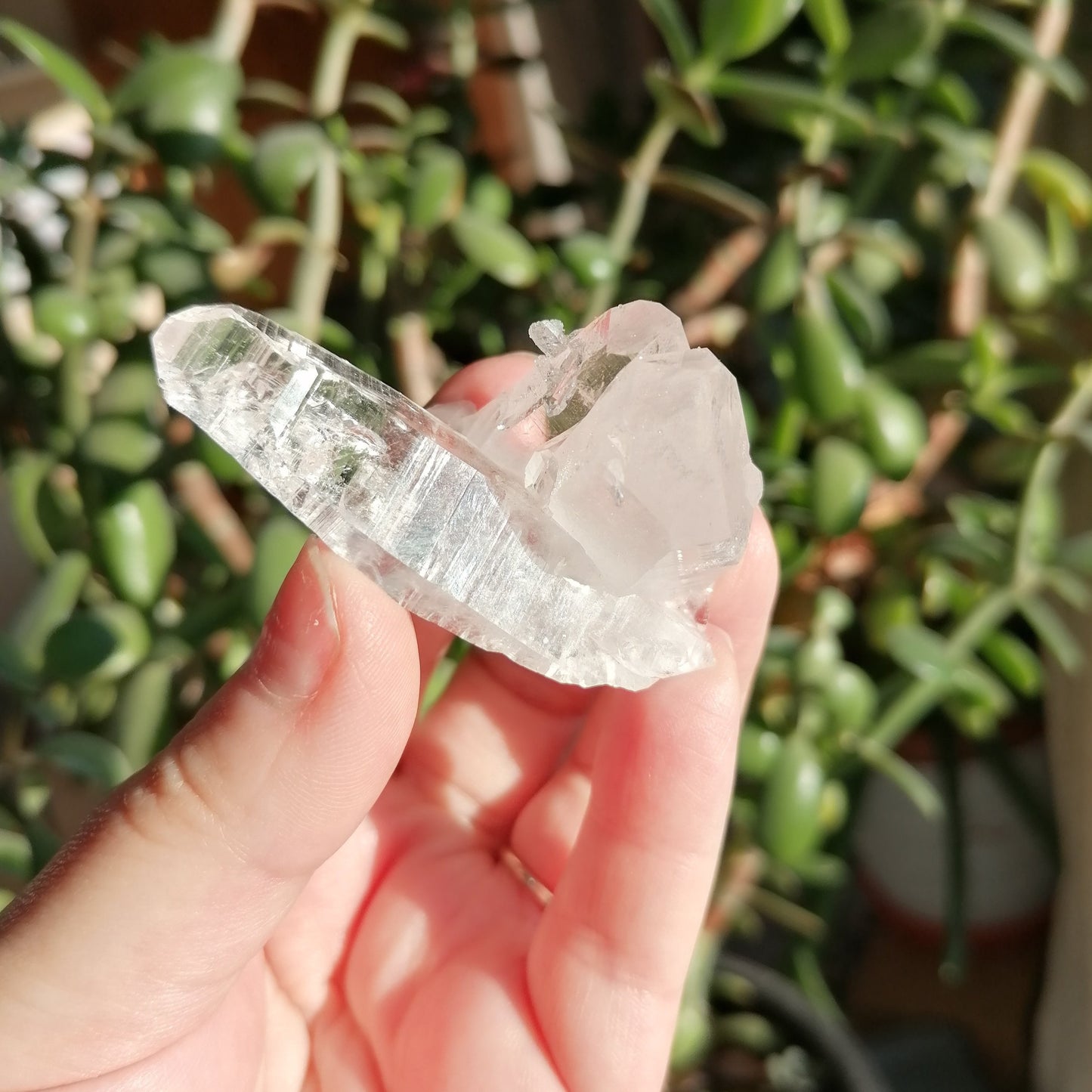 High grade lemurian pink quartz with multiple points