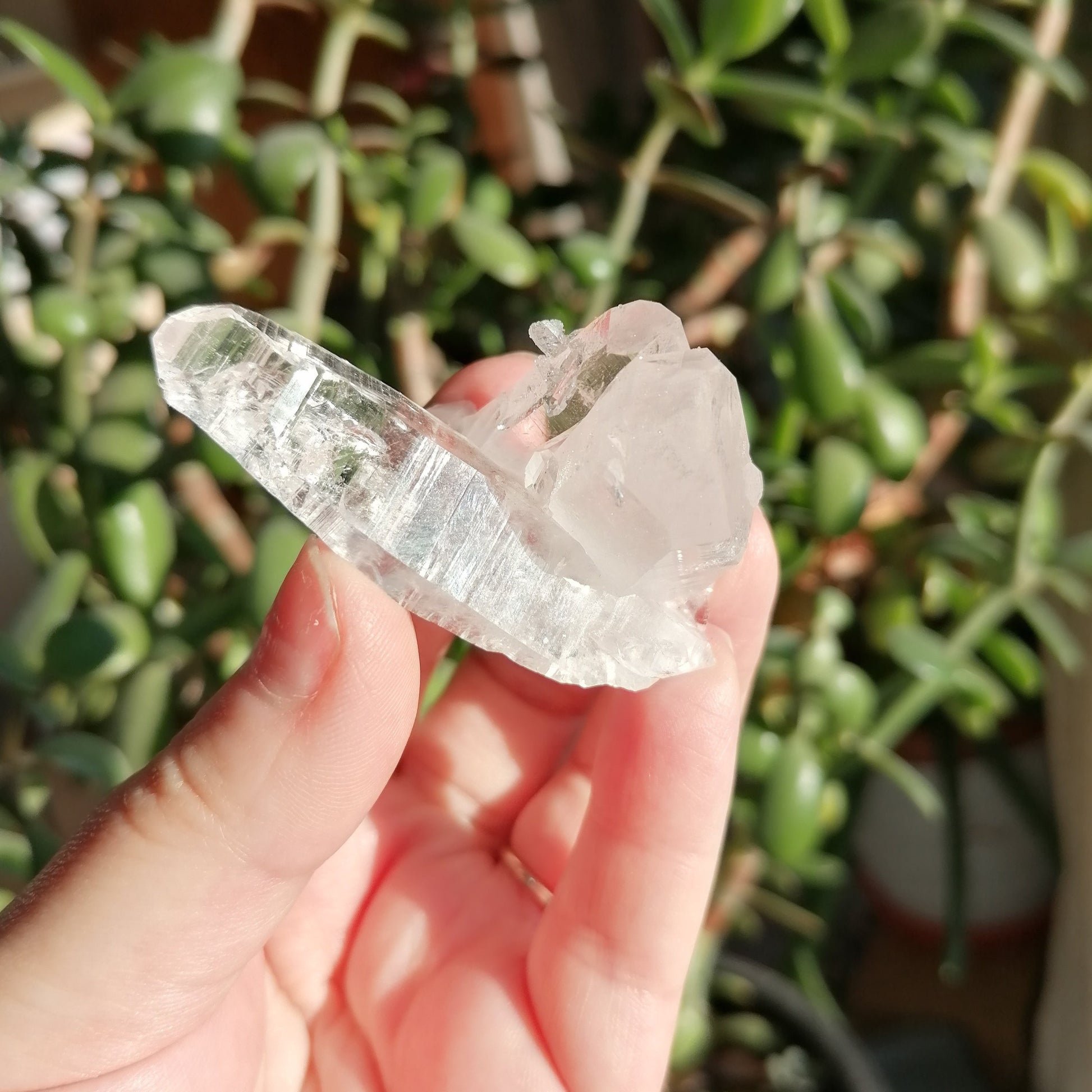 High grade lemurian pink quartz with multiple points