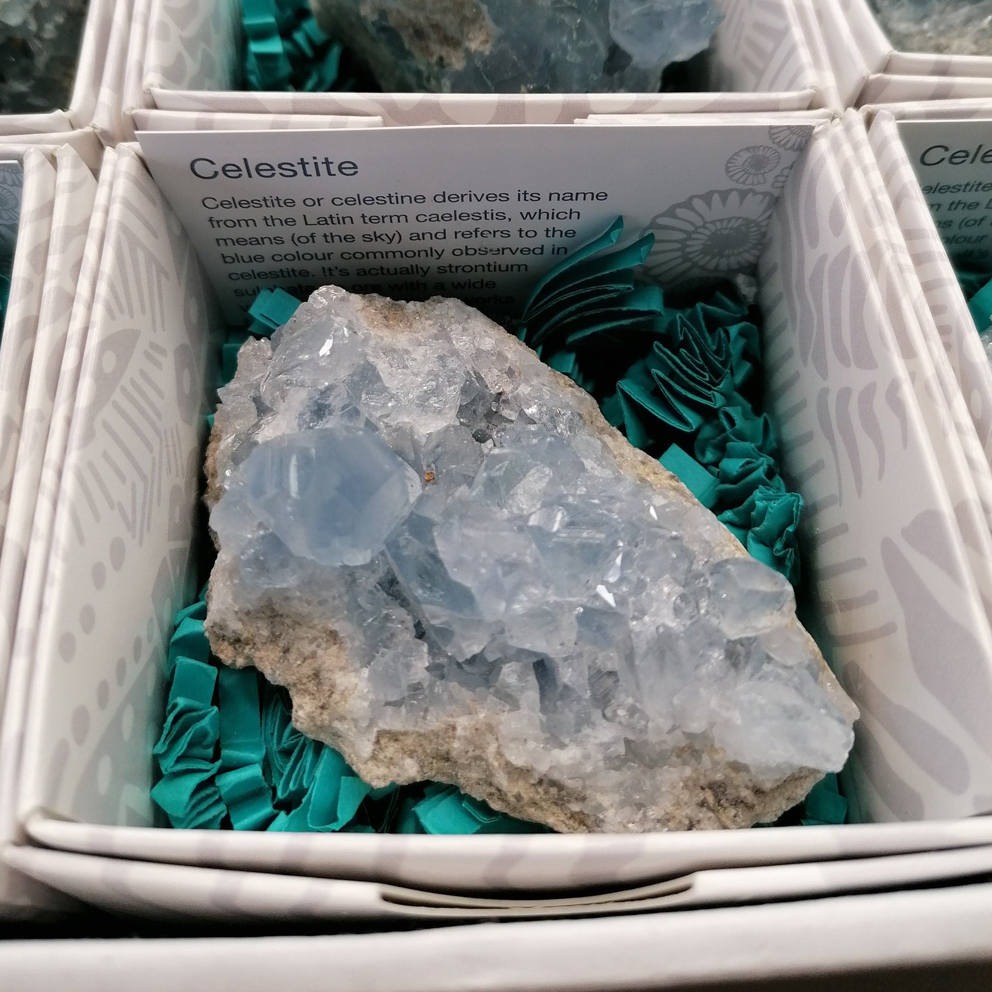 a blue celestite cluster in a gift box with an ID card