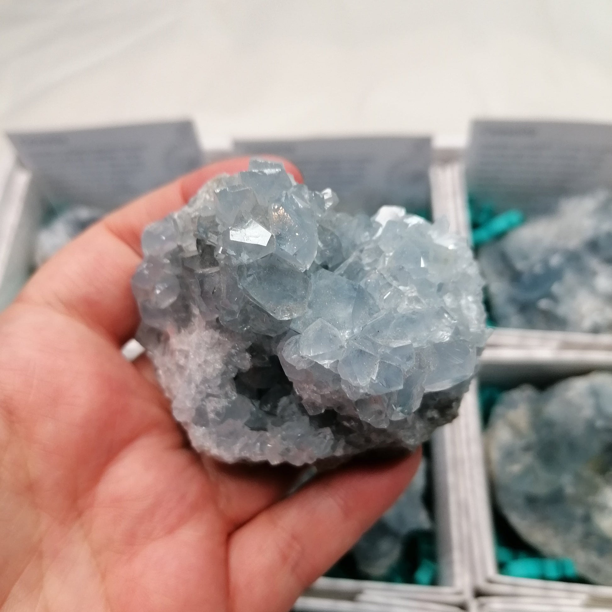 close up of a blue celestite cluster