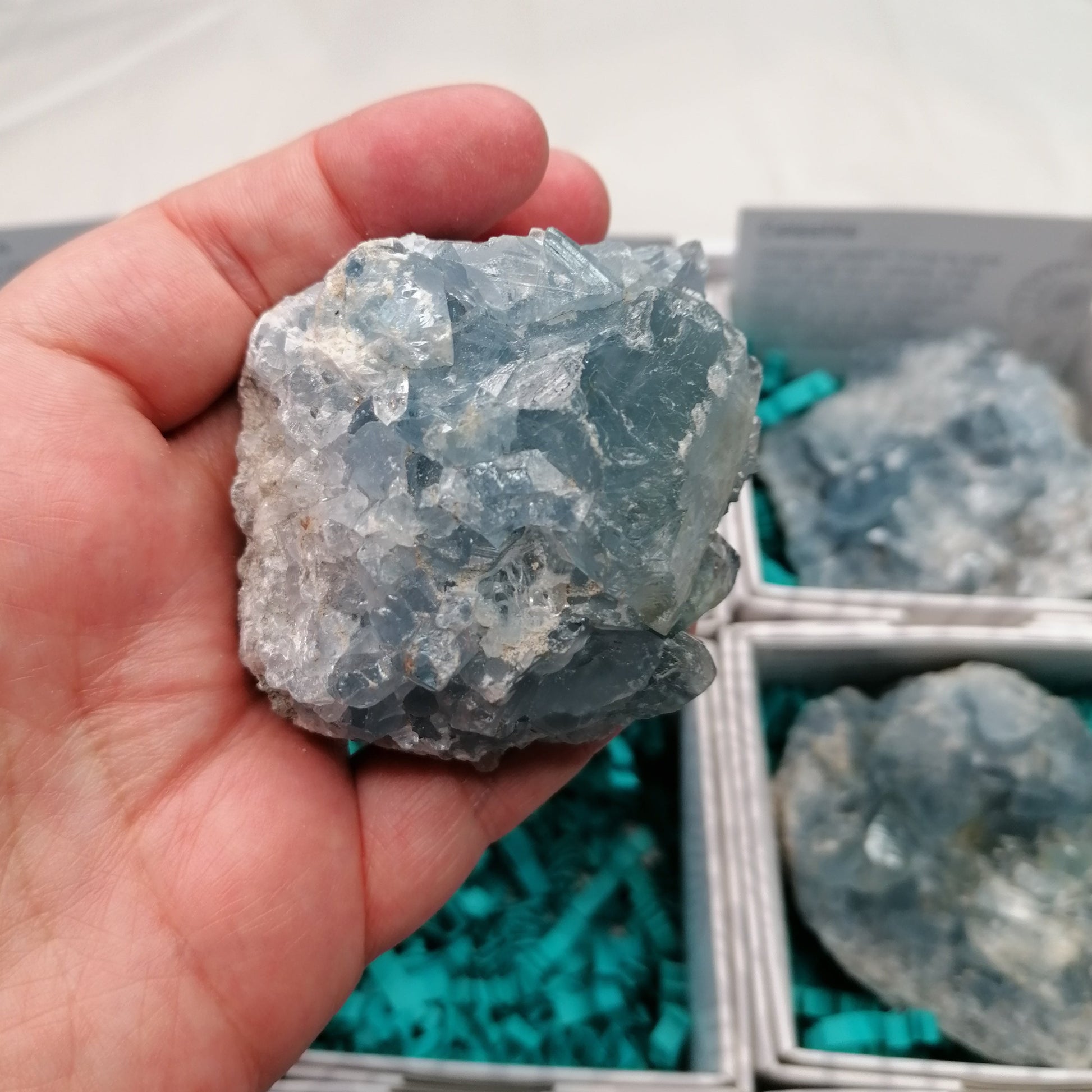 close up of celestite