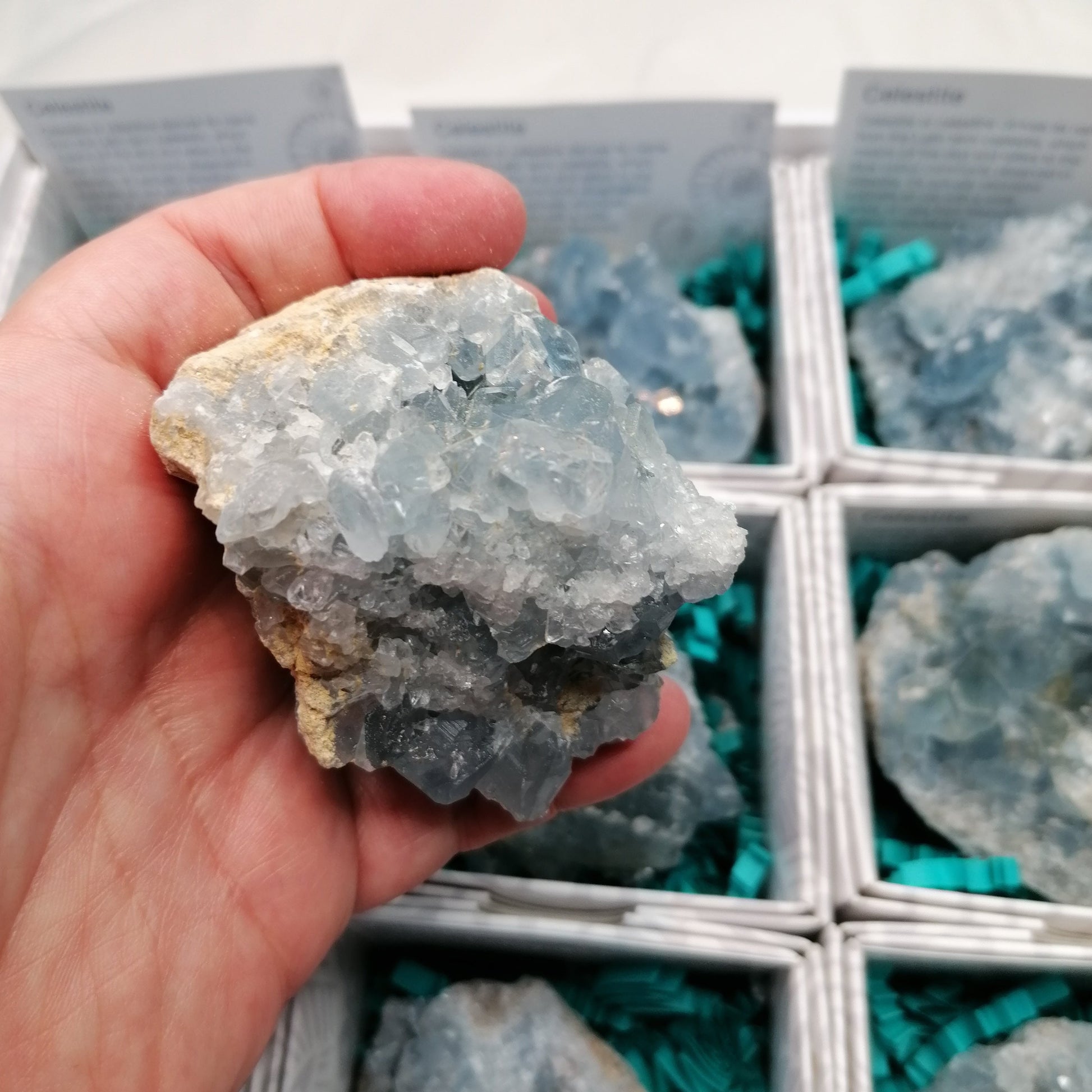 close up of a celestite druzy cluster