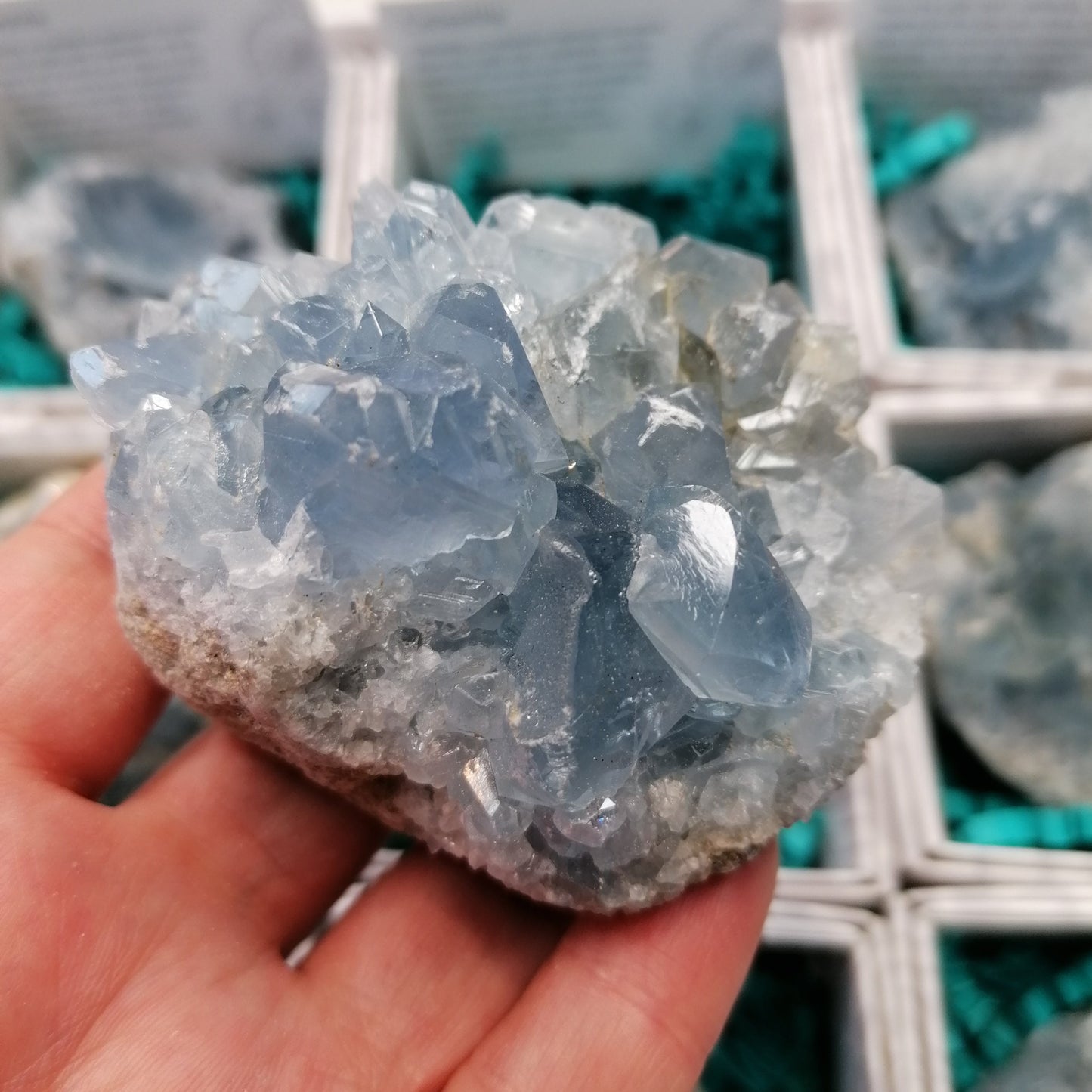 a close up of a druzy celestite cluster