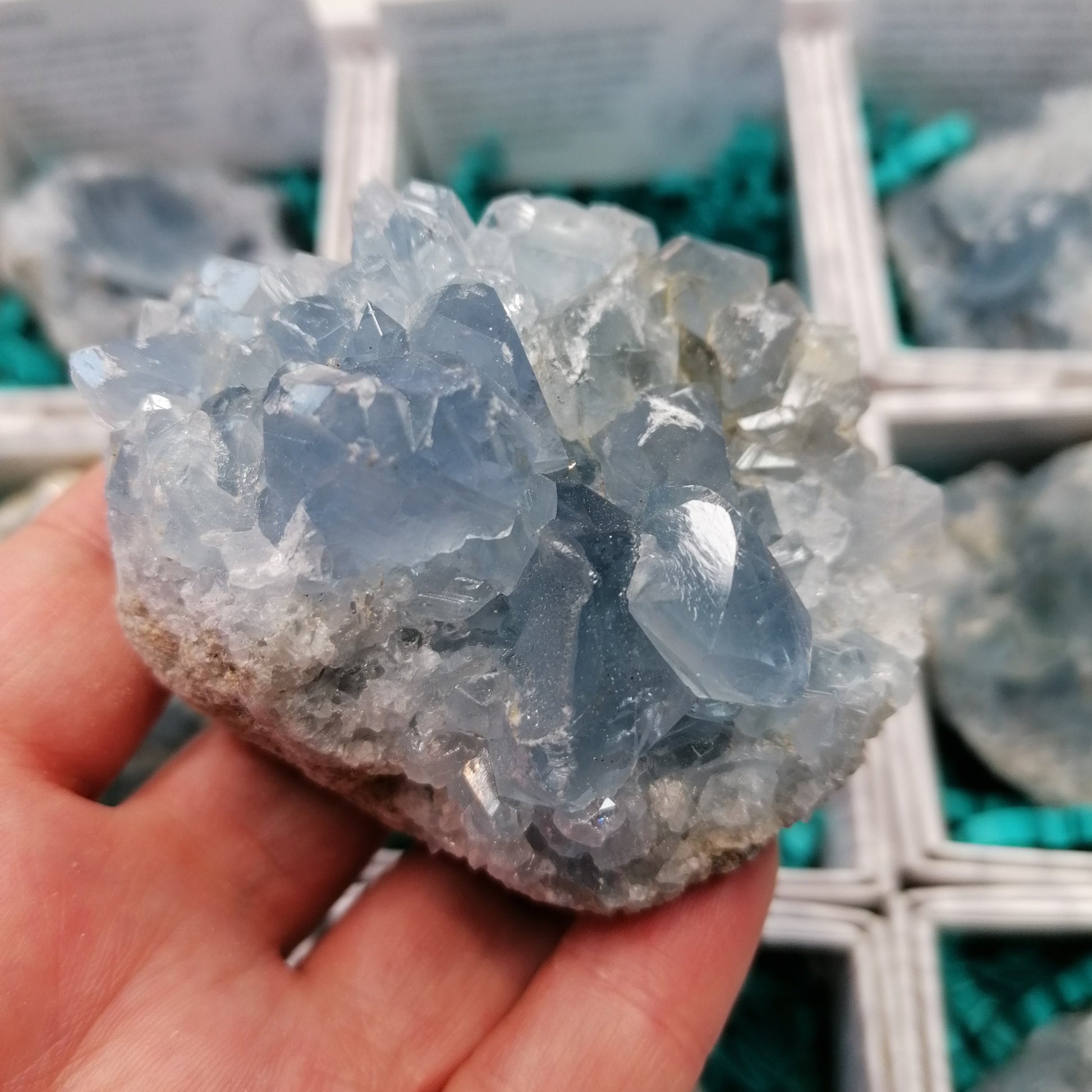 a close up of a druzy celestite cluster