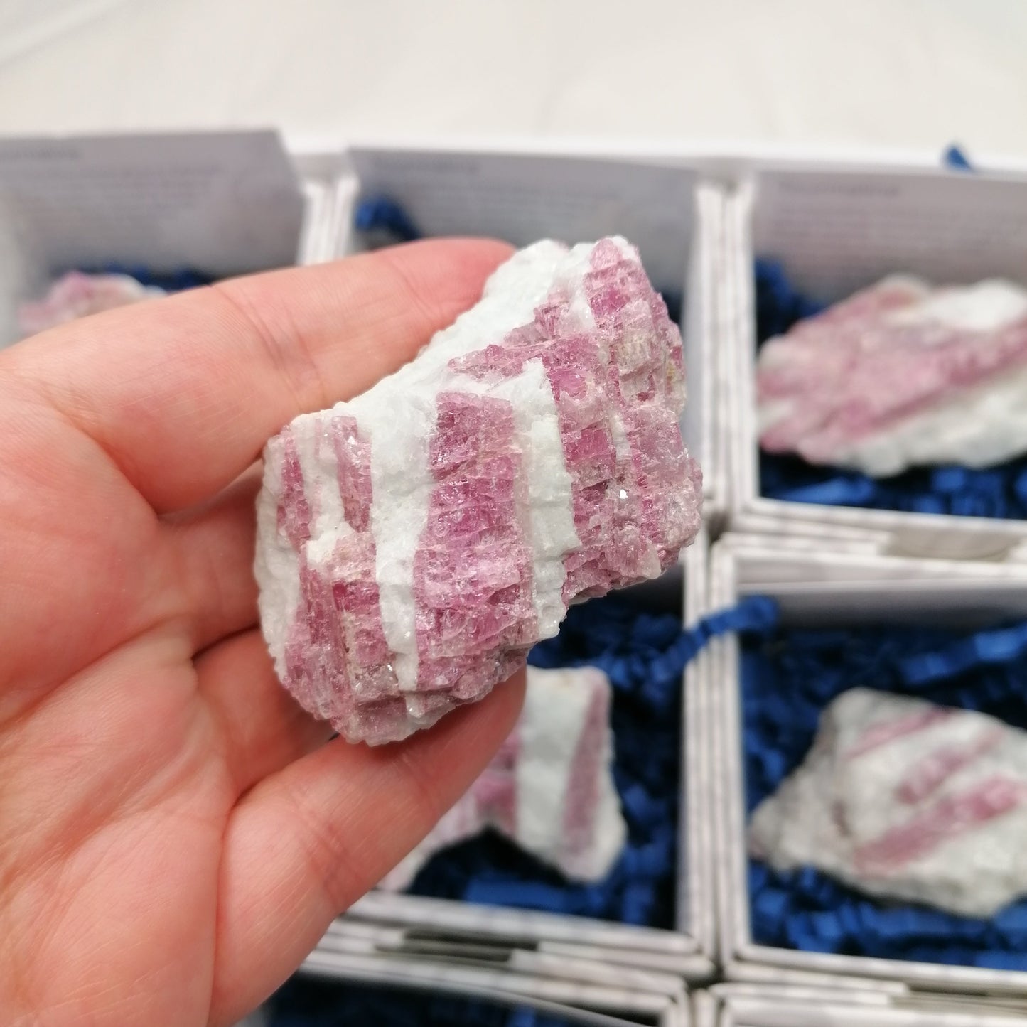 a close up of a piece of pink tourmaline in white quartz