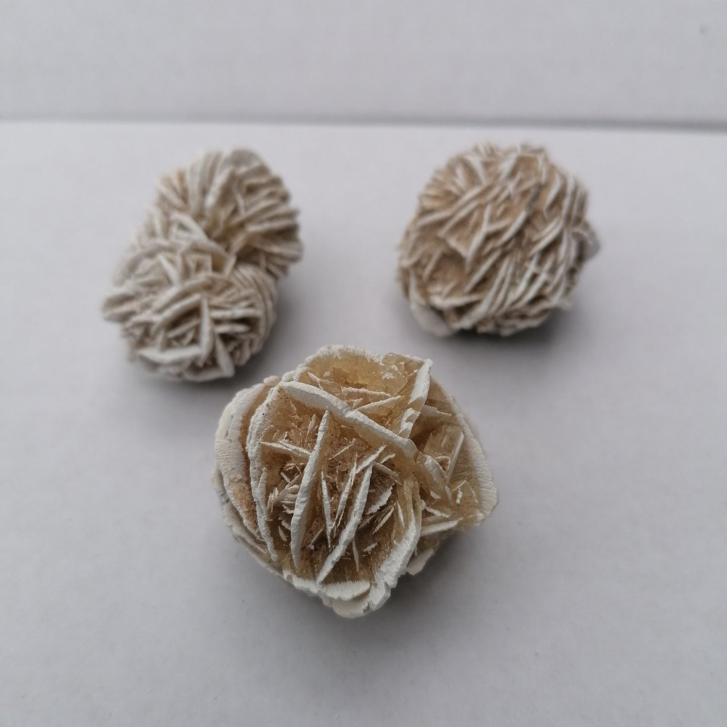 three desert rose beige and white