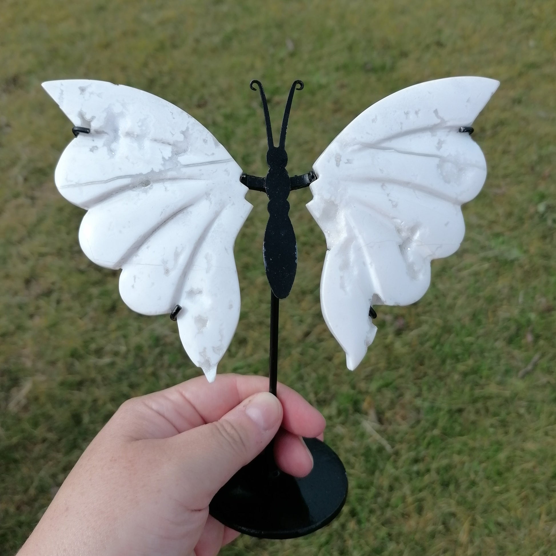 White Plume Agate ButterFly Wings on Stand