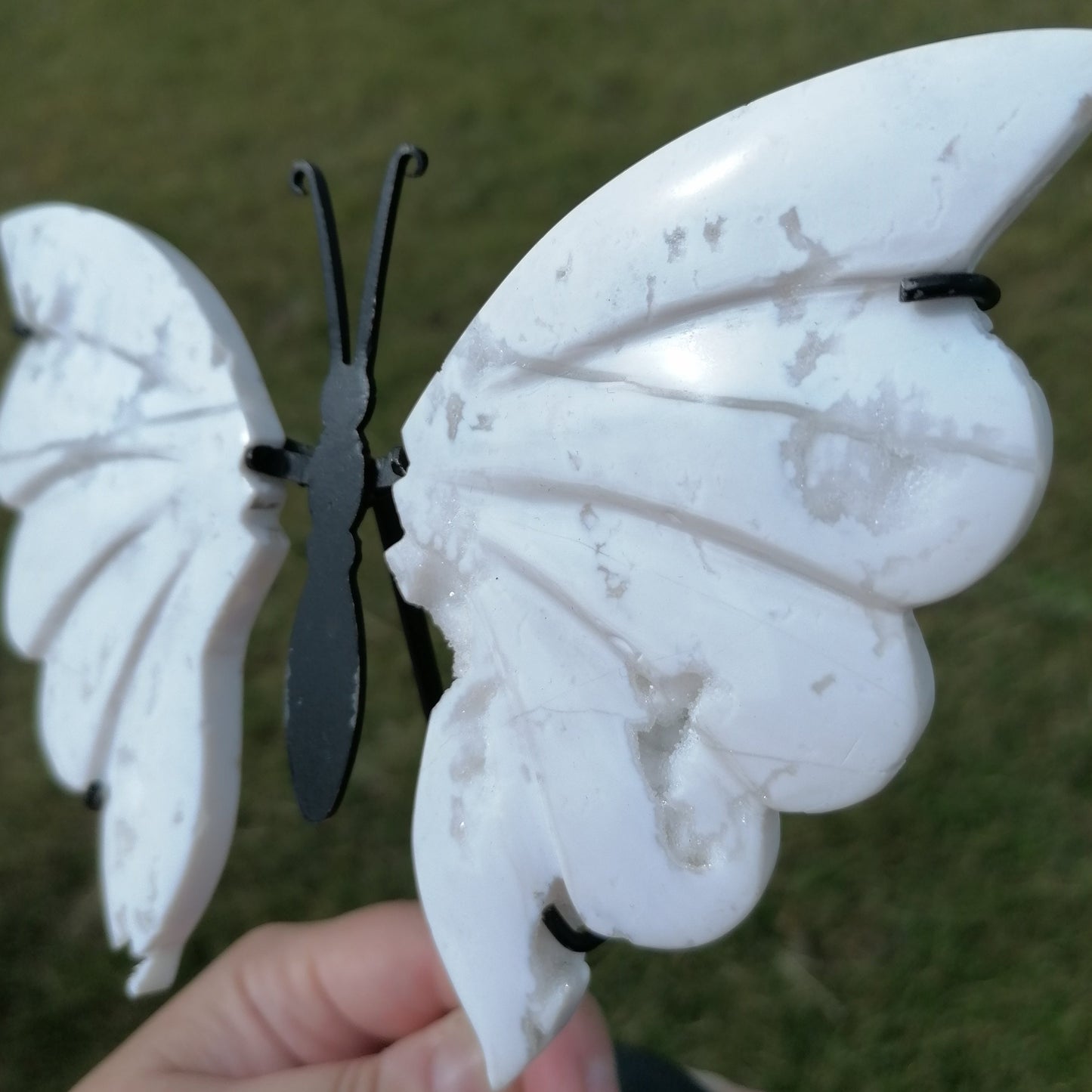 close up of the white sparkly druzy in the butterfly wing