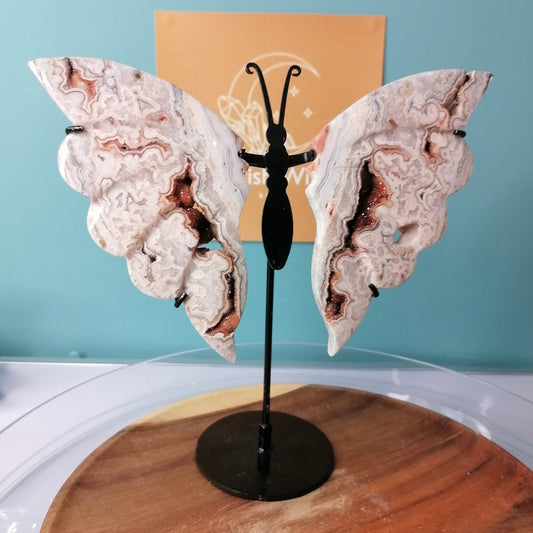 Pink Crazy Lace Agate Butterfly wing on stand