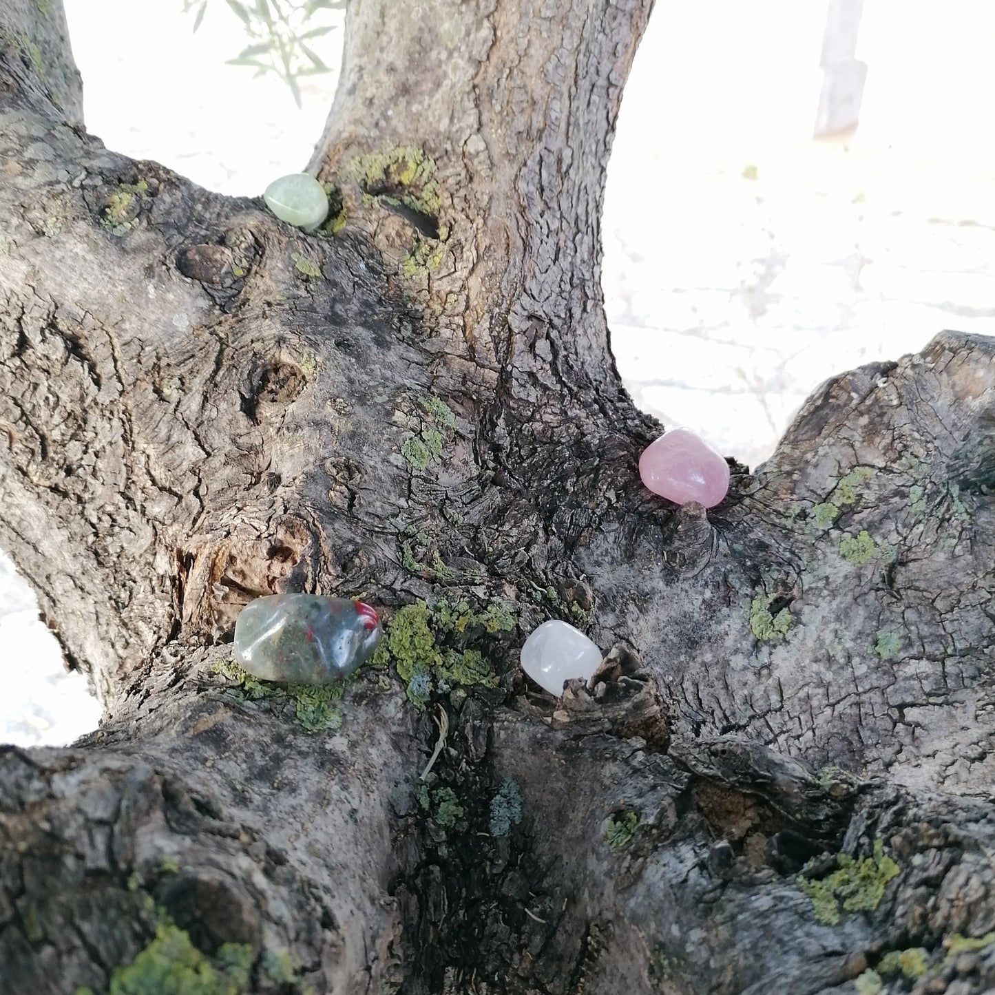 crystals in a tree