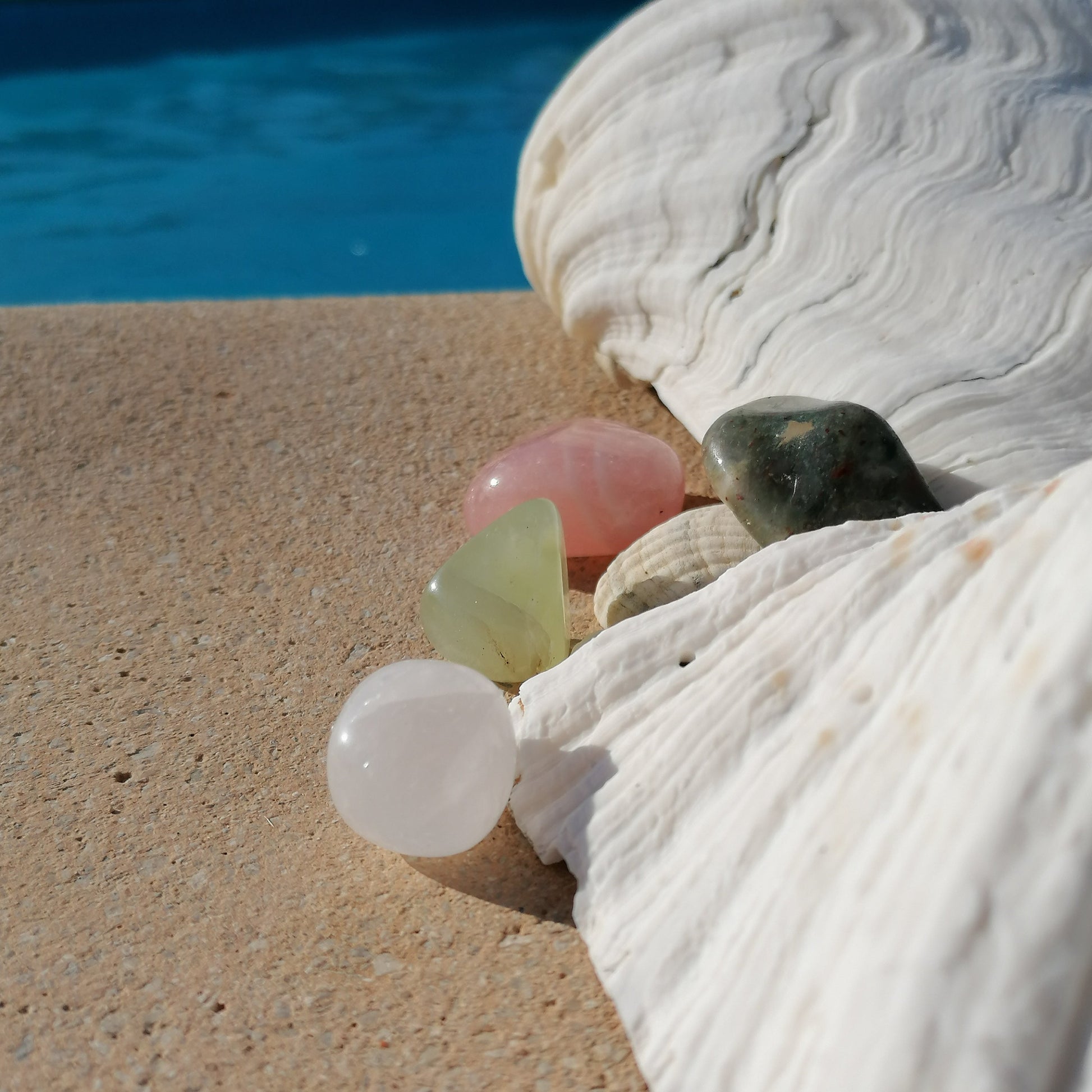 selection of tumbles and shells by the pool