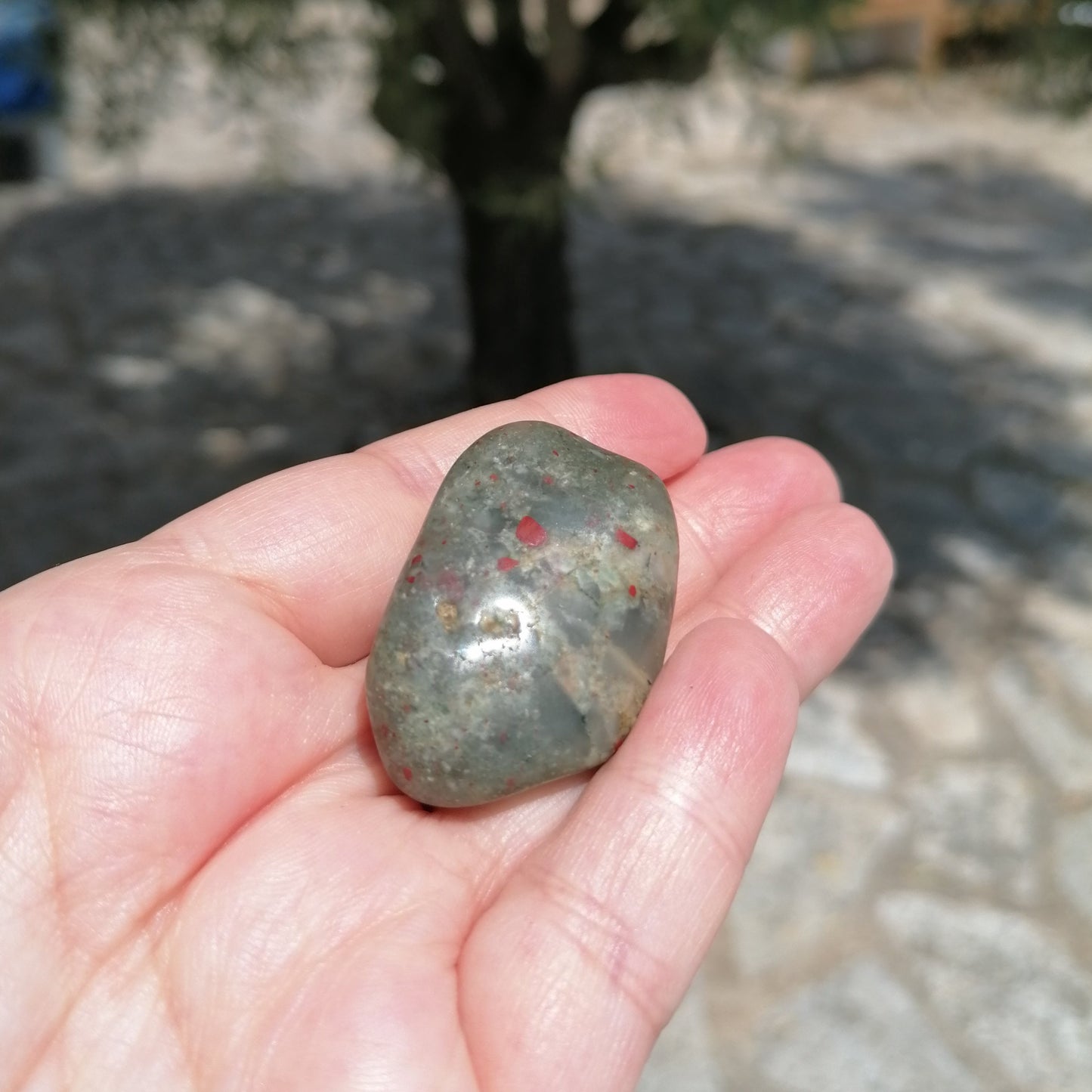 a green and red spotted bloodstone tumble