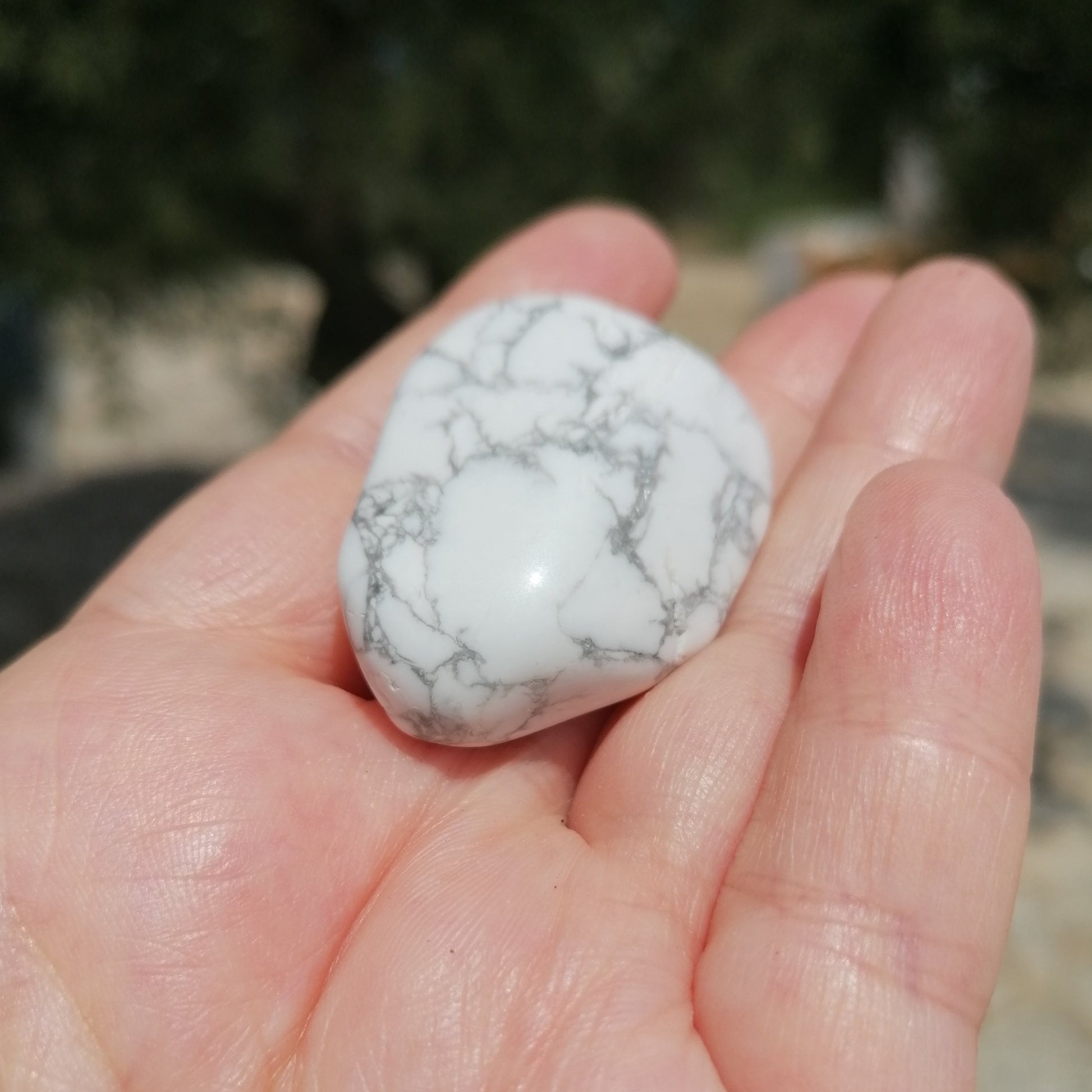 white and black howlite tumblestone