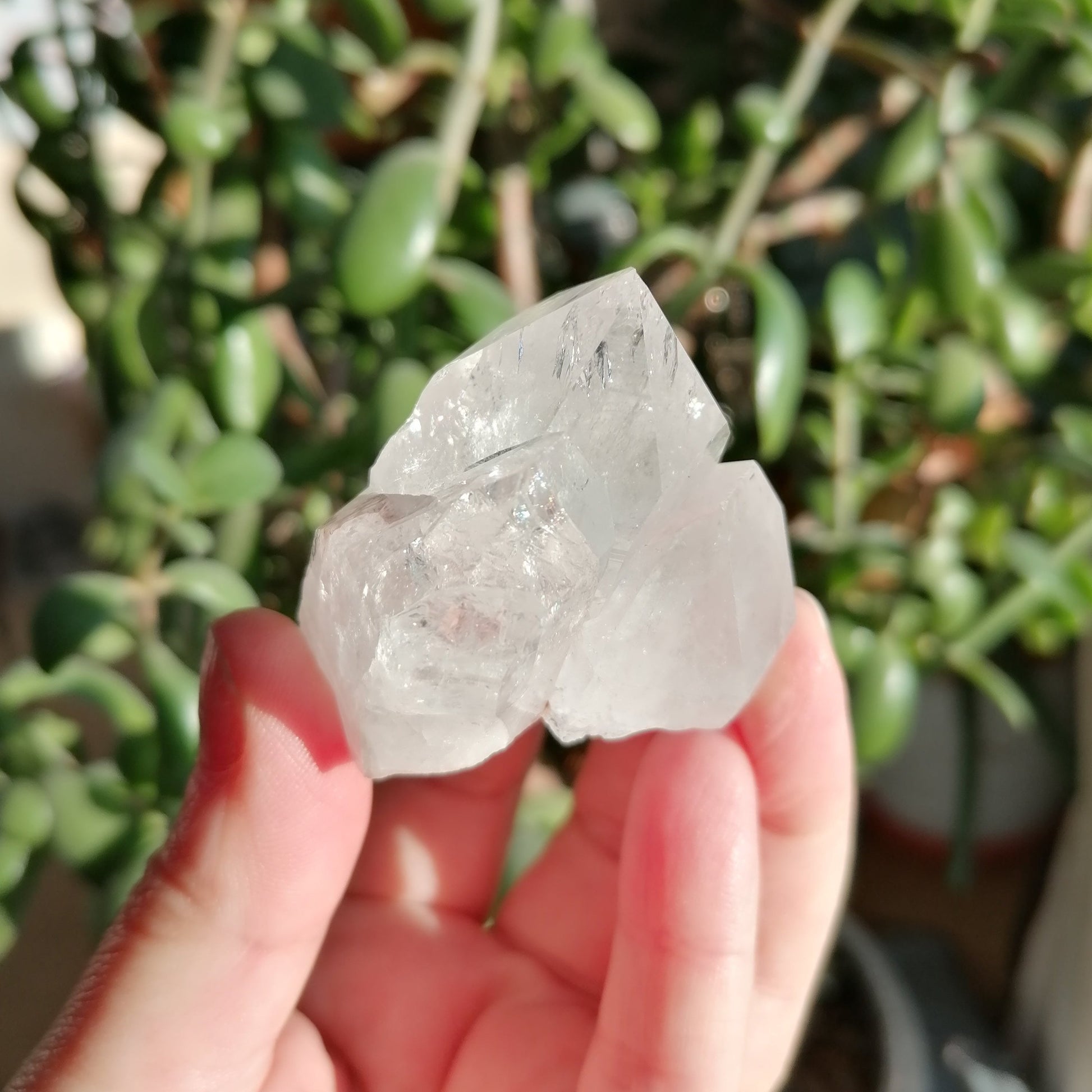 Large Lemurian Pink Quartz Colombia