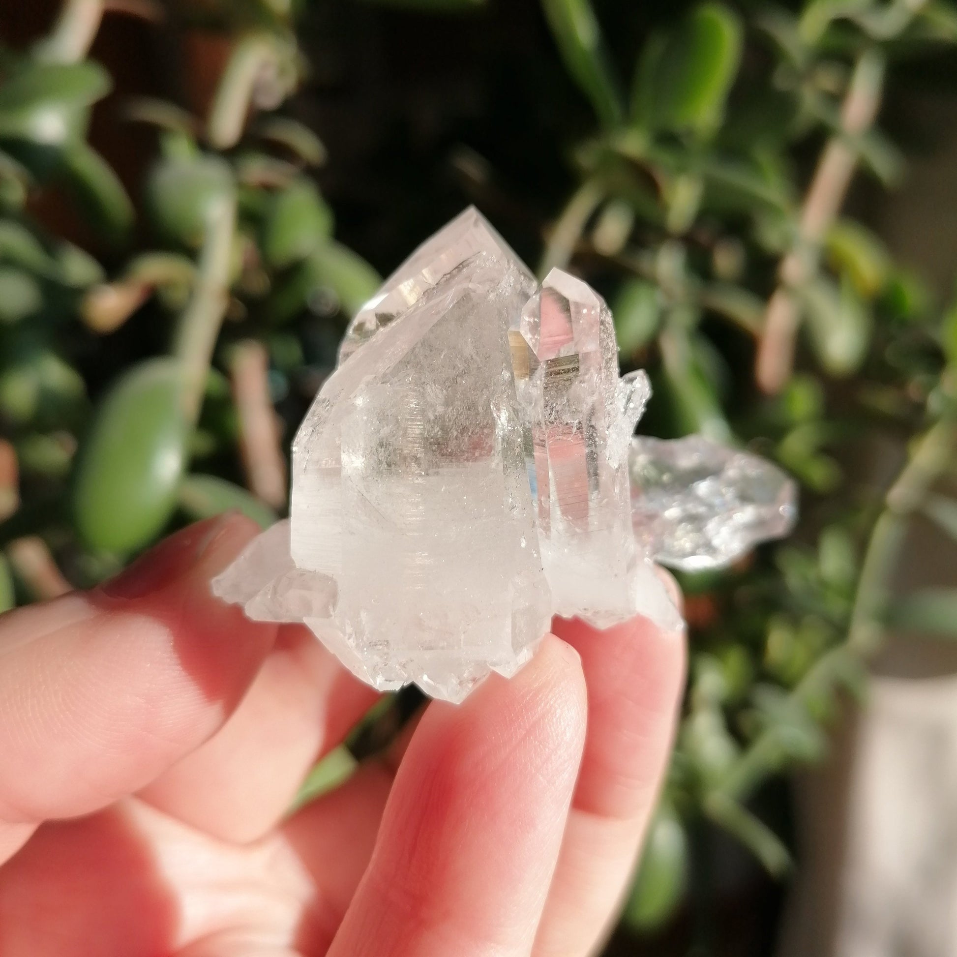 Lemurian Pink Quartz from Colombia with multiple points and a little sugar 